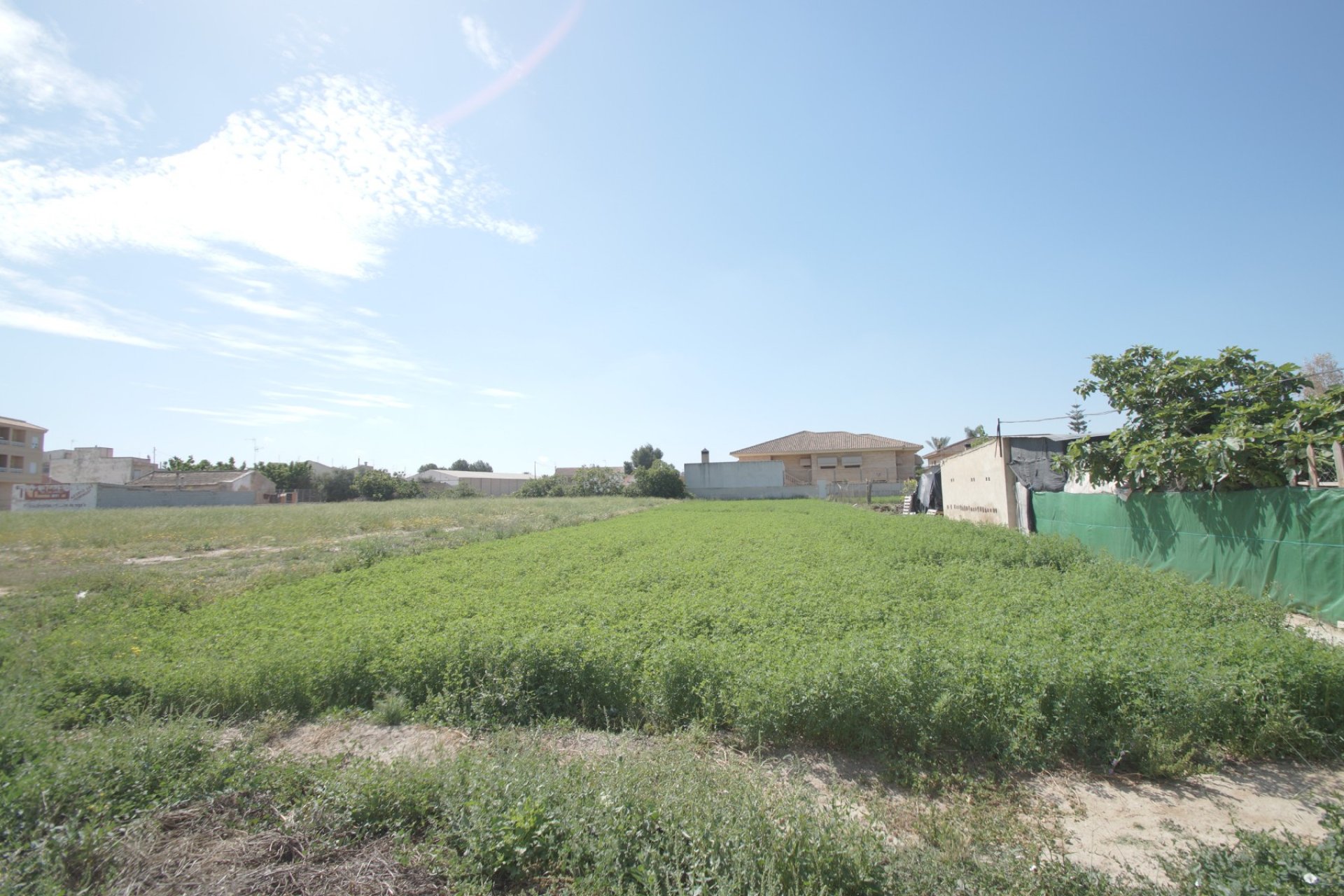 Resale - Rural Property - Almoradí - Almoradi