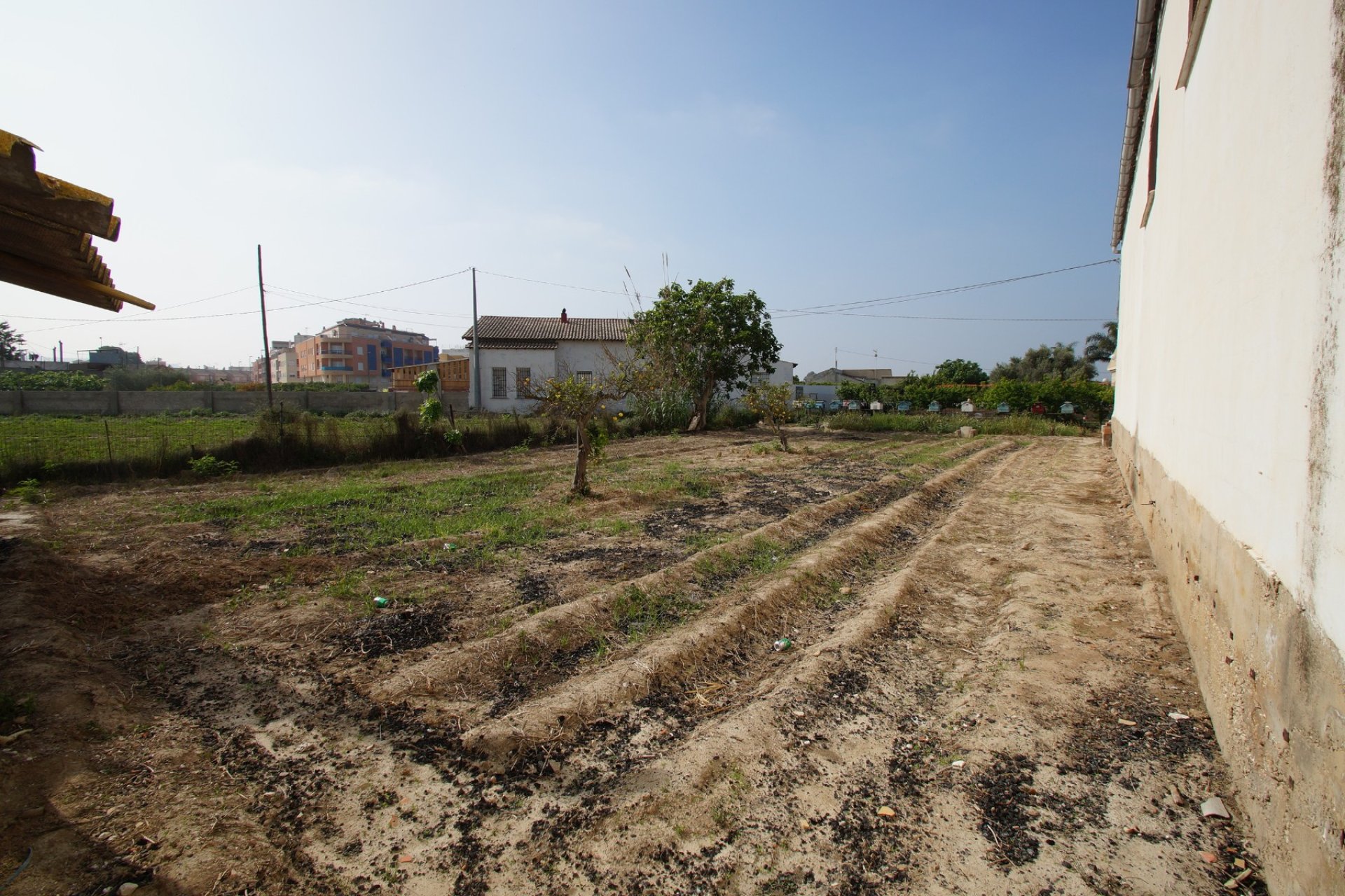 Resale - Rural Property - Formentera del Segura - Formentera de Segura