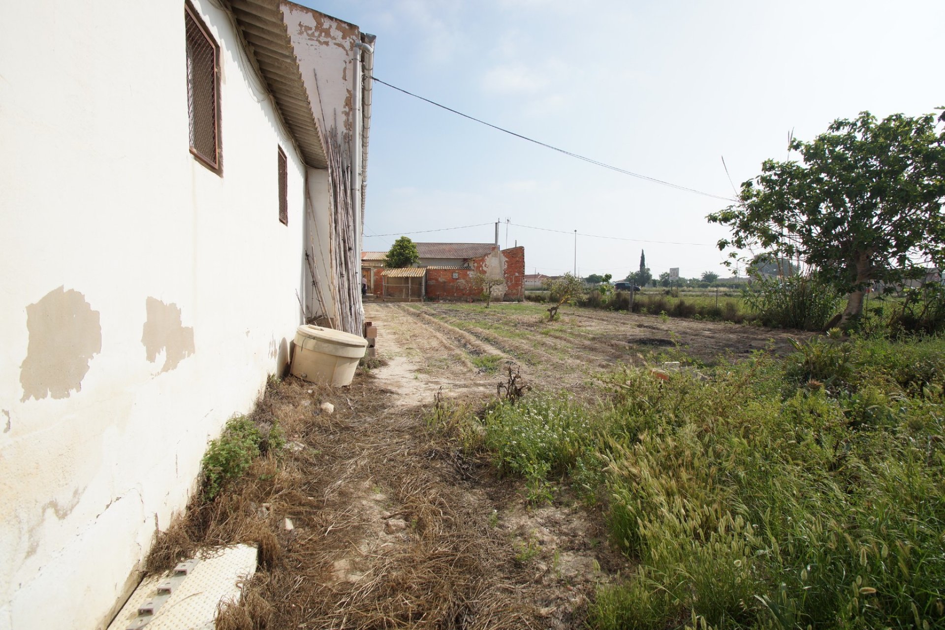 Resale - Rural Property - Formentera del Segura - Formentera de Segura