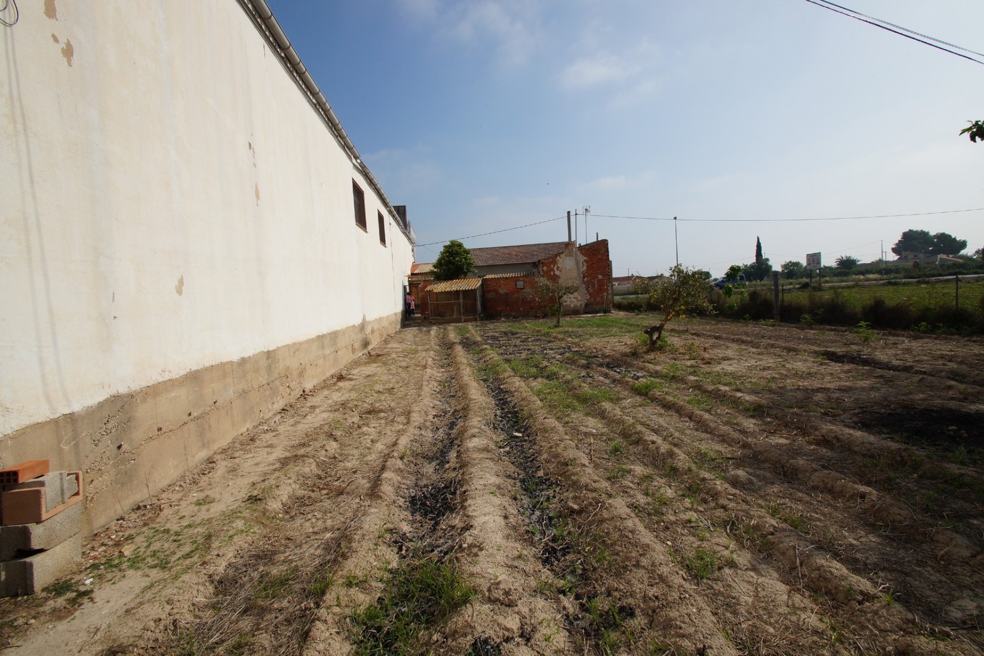 Resale - Rural Property - Formentera del Segura - Formentera de Segura