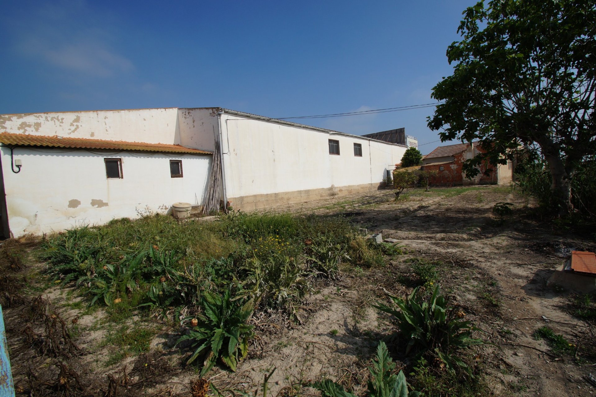 Resale - Rural Property - Formentera del Segura - Formentera de Segura