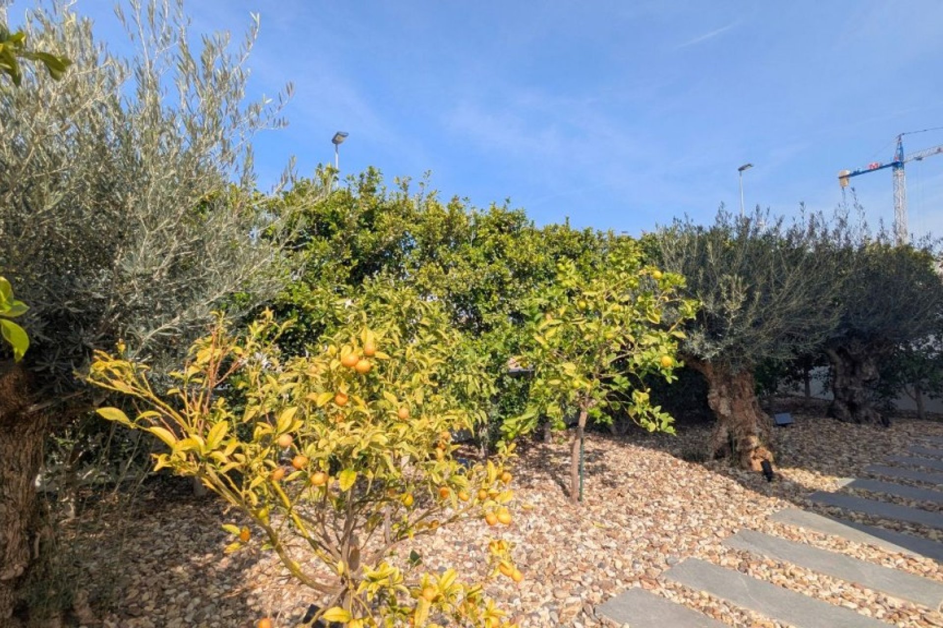 Resale - Villa - Benijofar