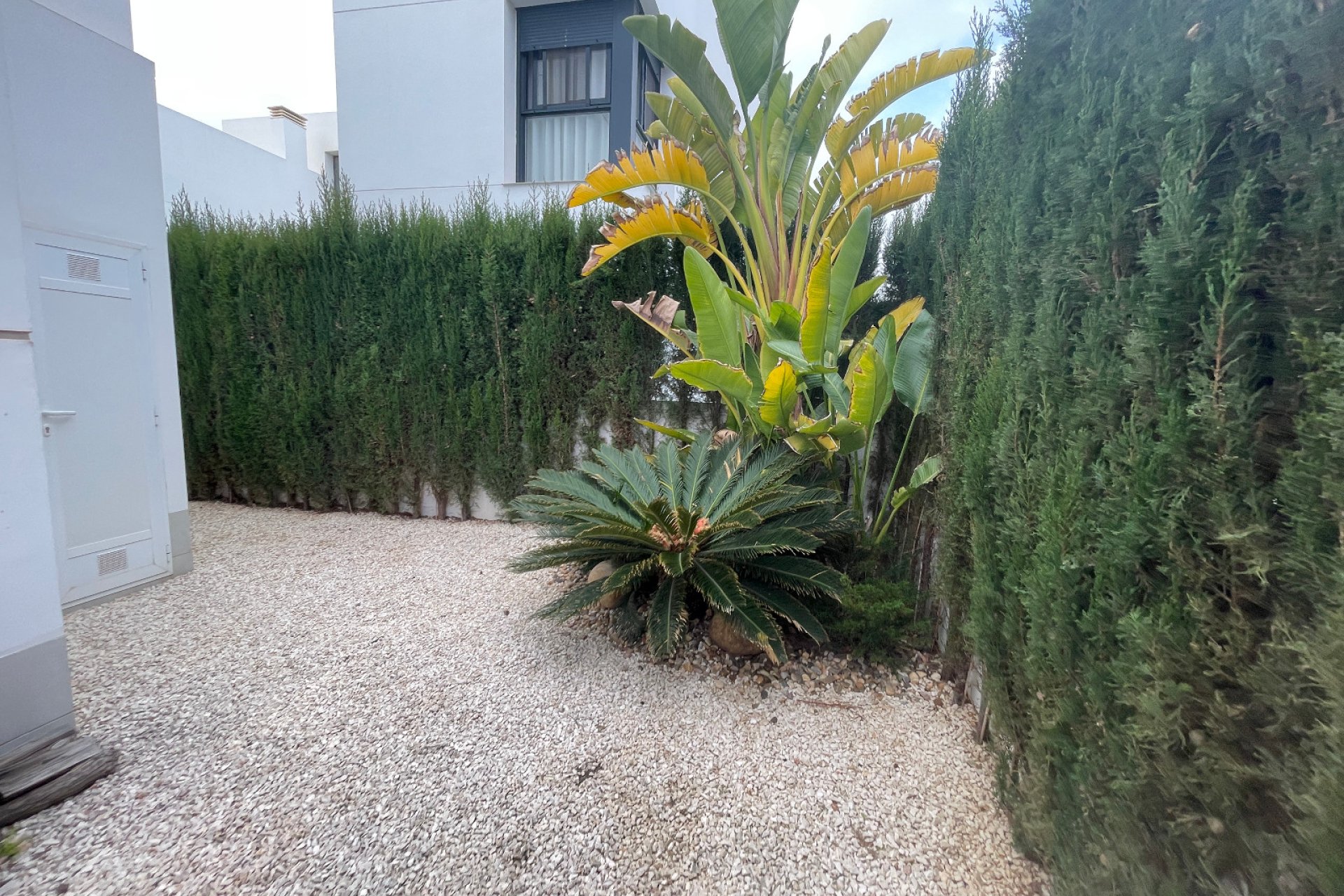 Resale - Villa - Ciudad Quesada - Lo Marabú