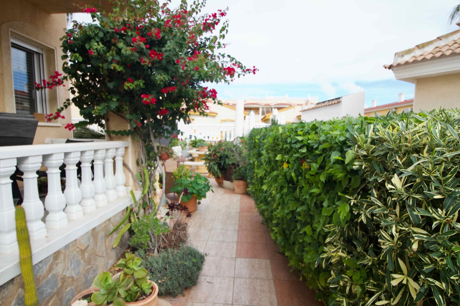 Resale - Villa - Ciudad Quesada - 