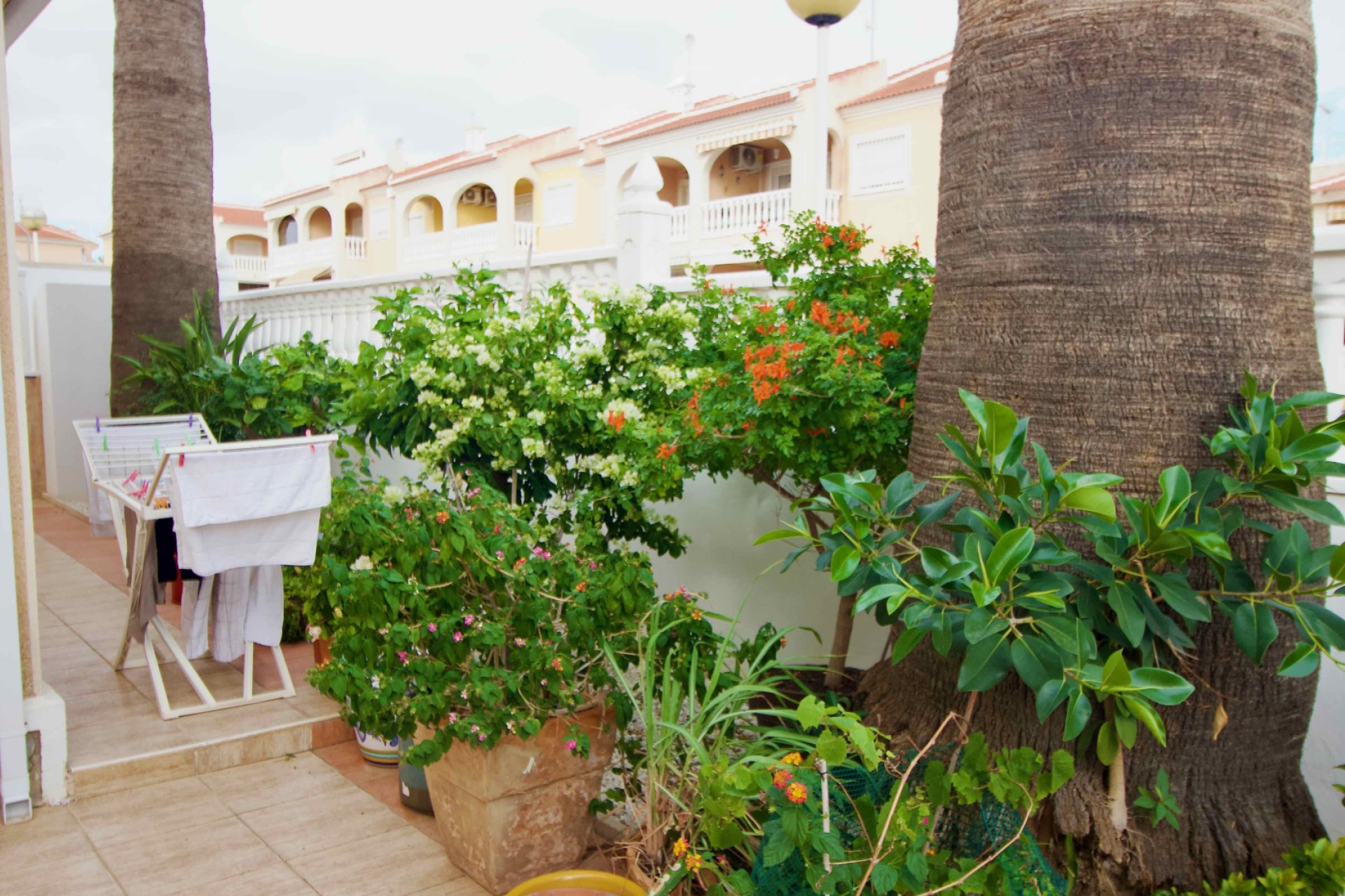 Resale - Villa - Ciudad Quesada - 