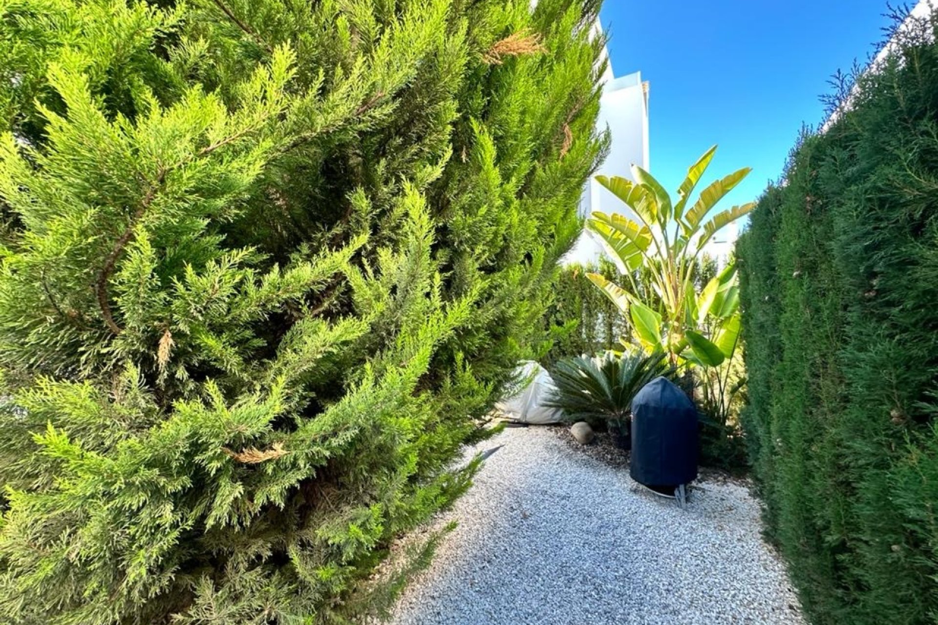 Resale - Villa - Ciudad Quesada - 