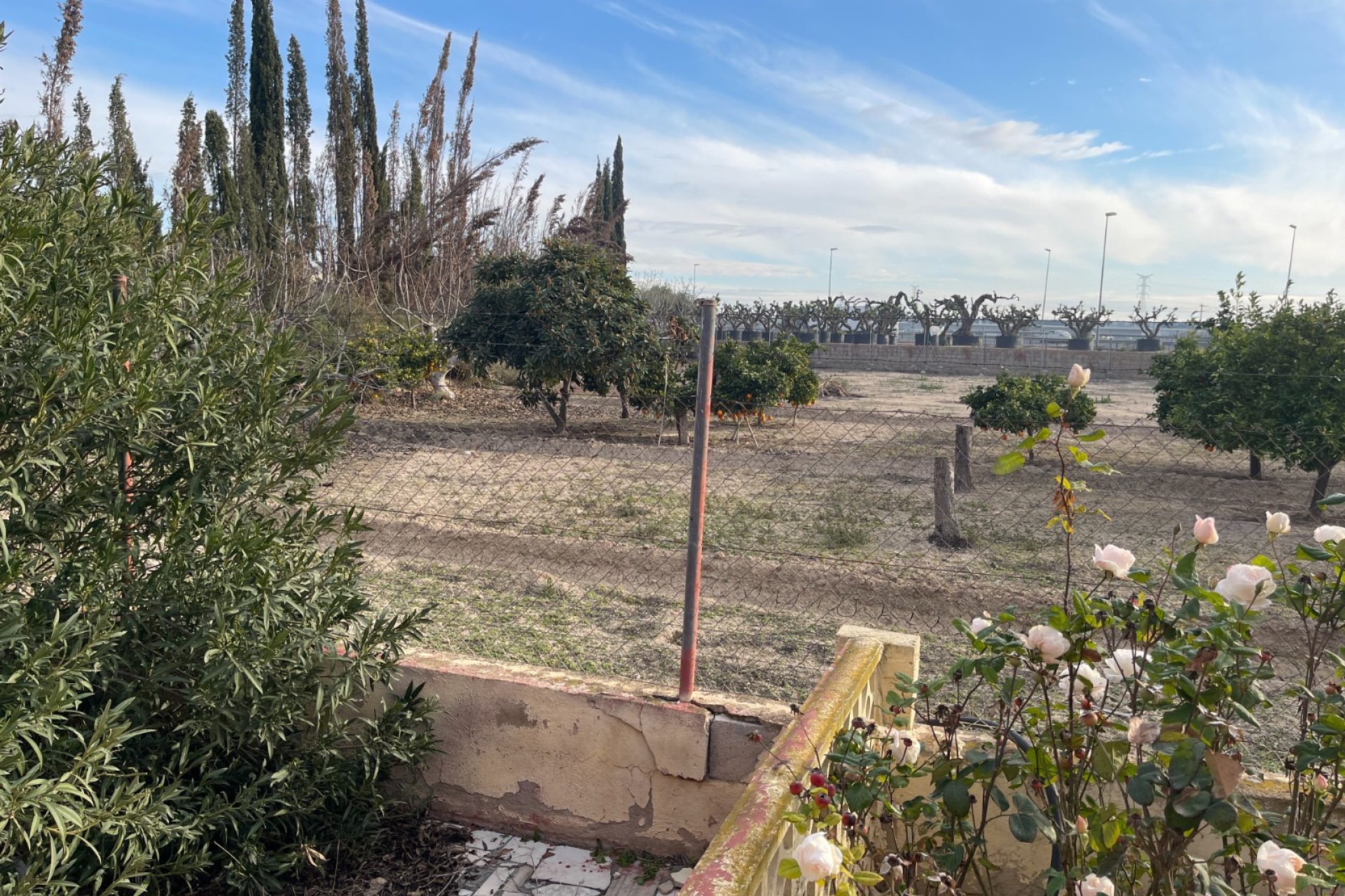 Resale - Villa - Crevillente
