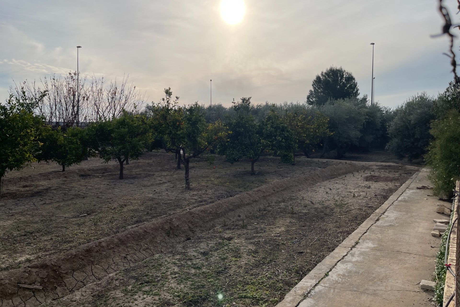 Resale - Villa - Crevillente