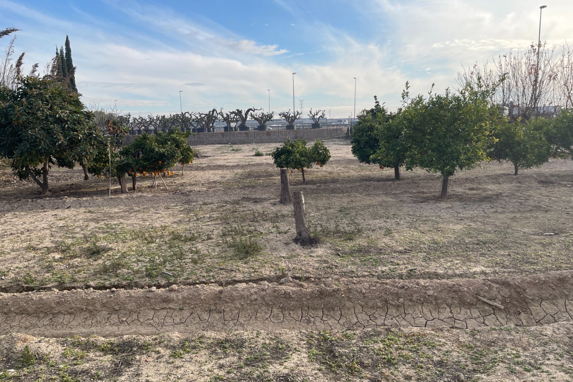 Resale - Villa - Crevillente