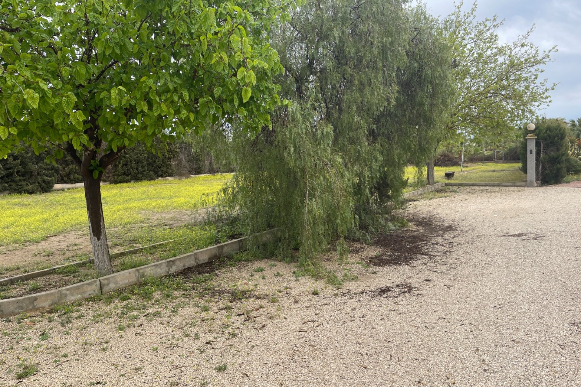 Resale - Villa - Elche - Matola