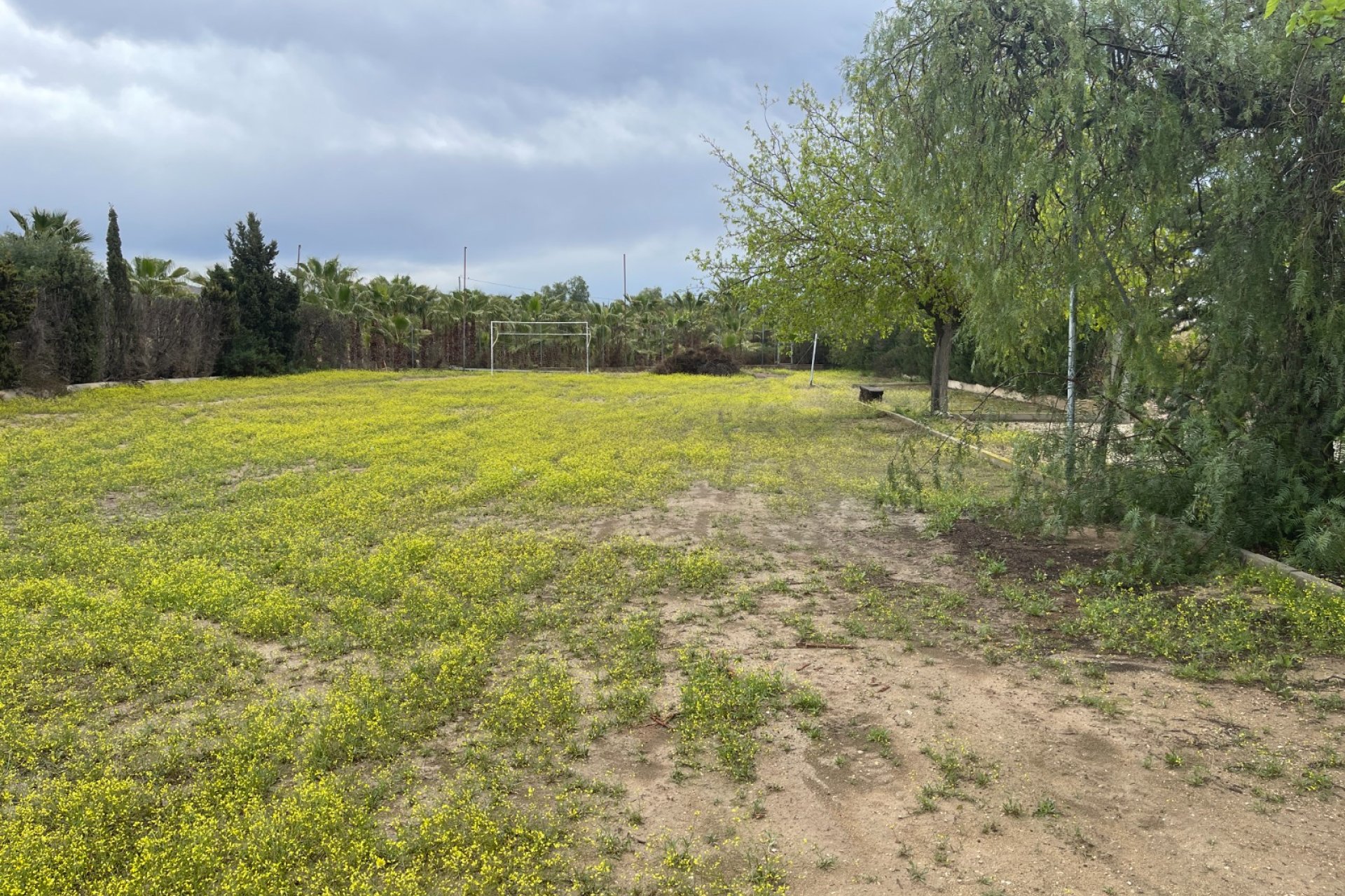 Resale - Villa - Elche - 