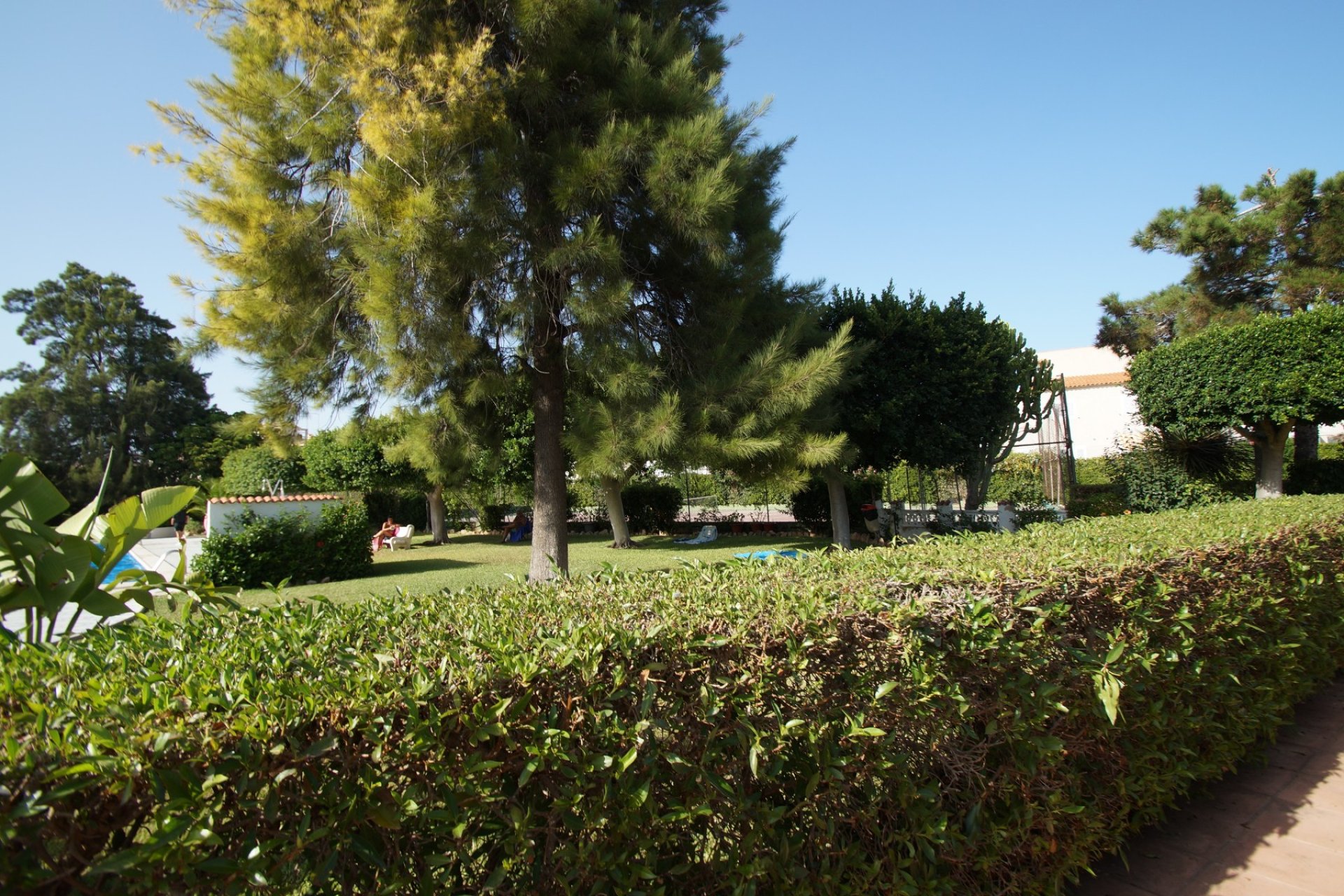 Resale - Villa - Guardamar del Segura - Playa del Moncayo