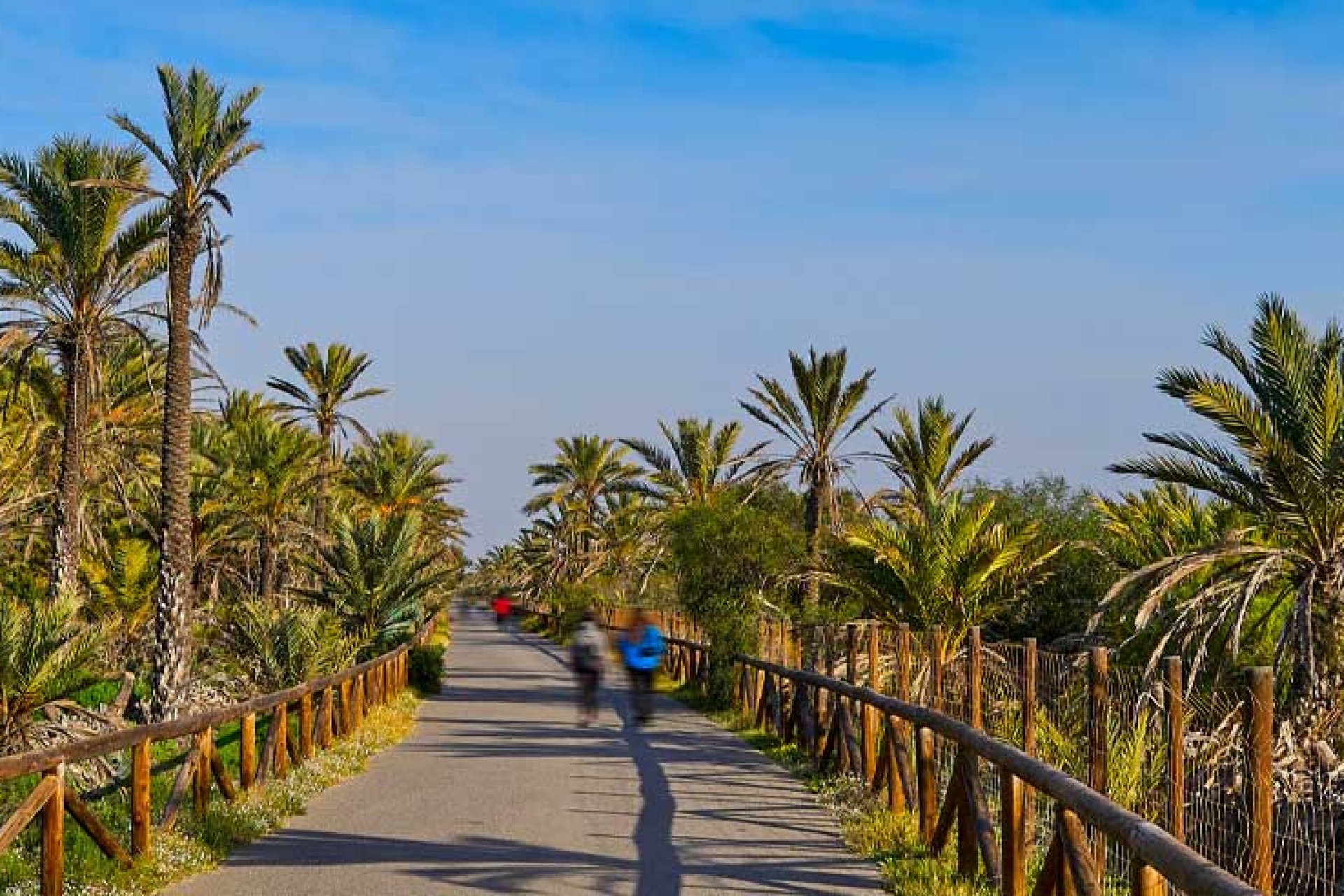 Resale - Villa - Guardamar del Segura - Playa del Moncayo