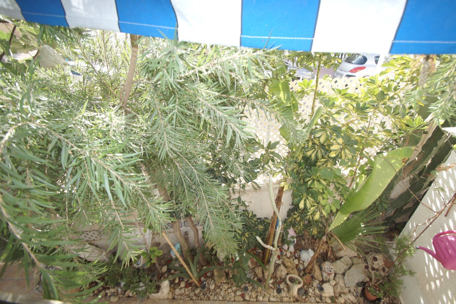 Resale - Villa - Guardamar del Segura