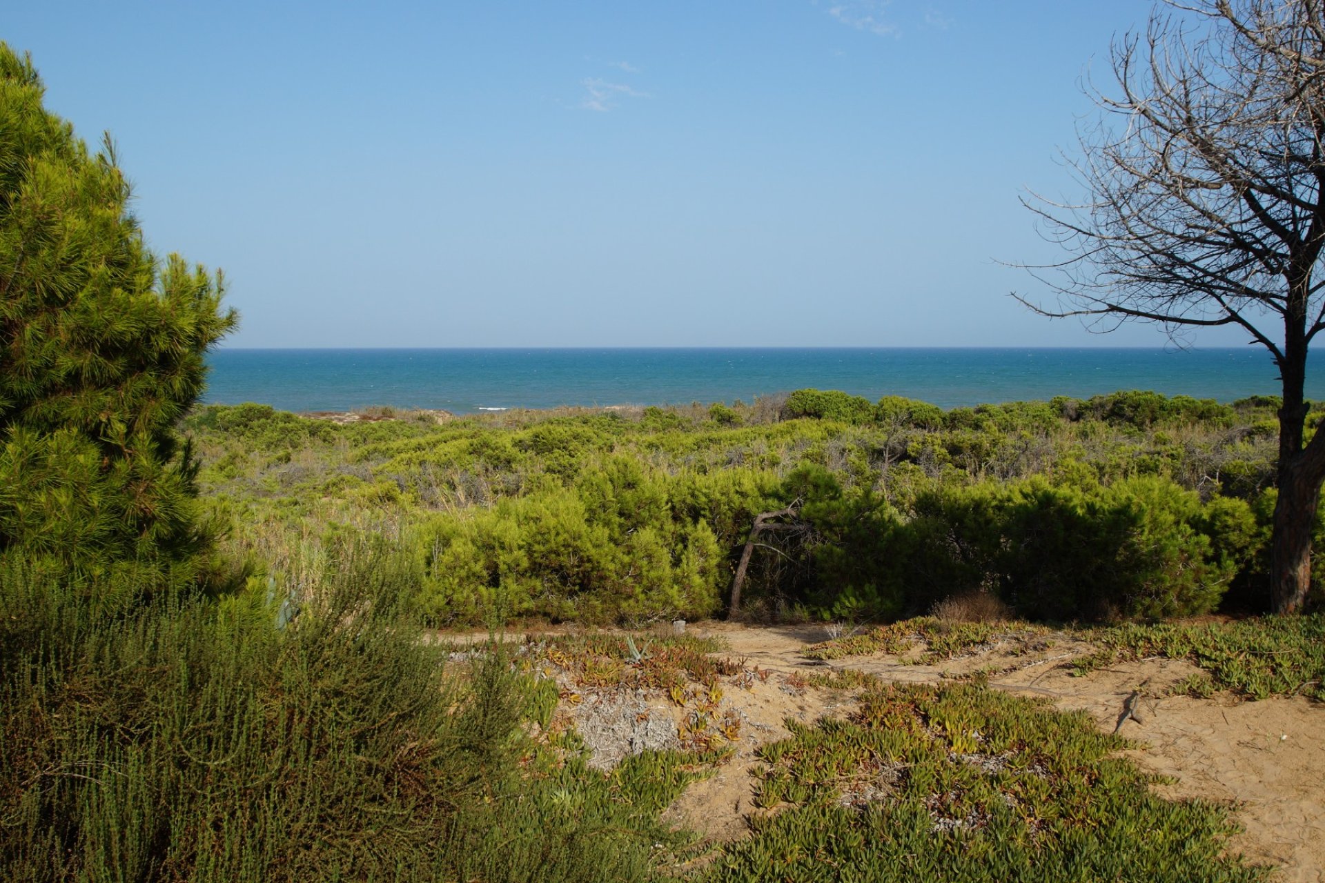 Resale - Villa - Guardamar del Segura