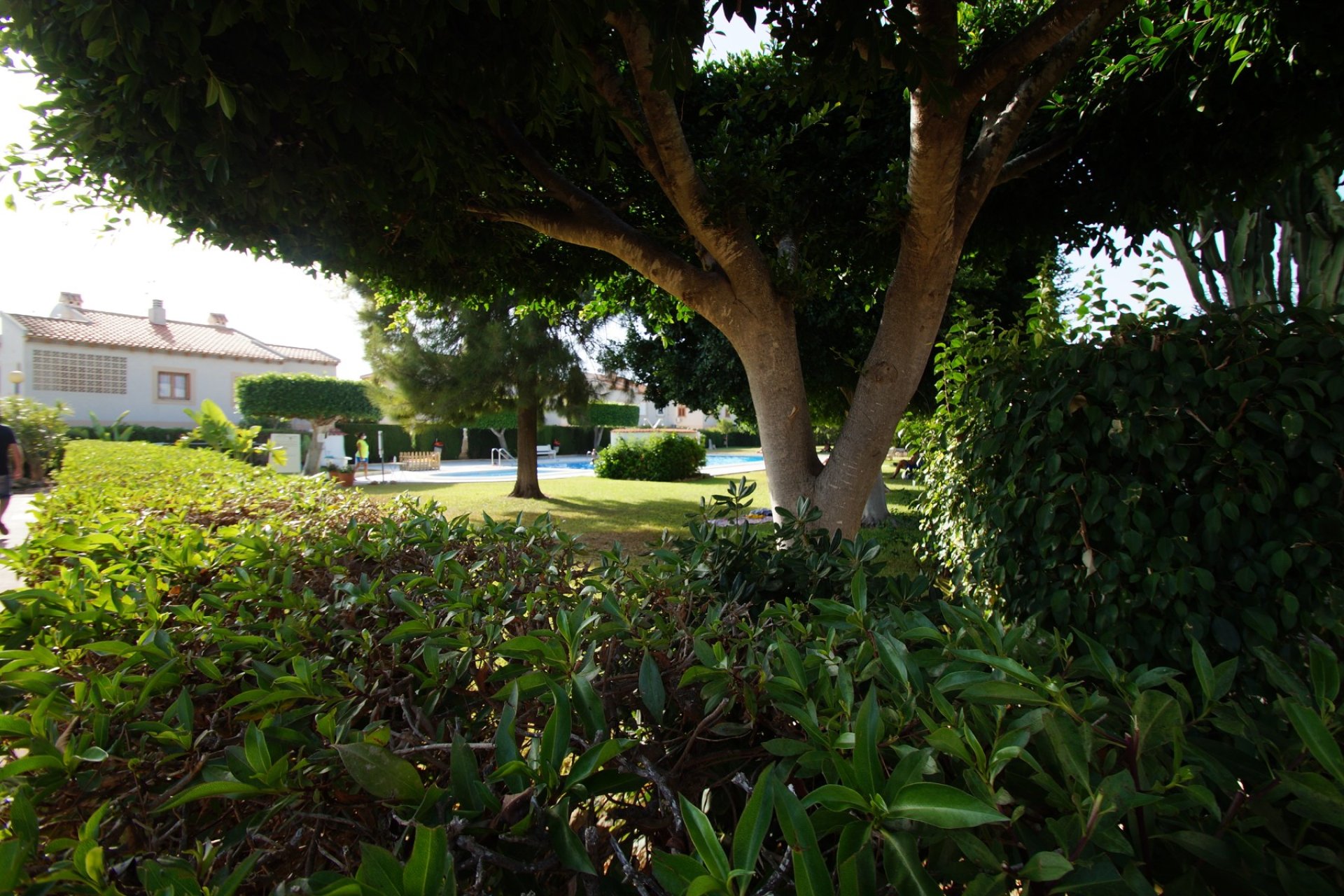 Resale - Villa - Guardamar del Segura - 