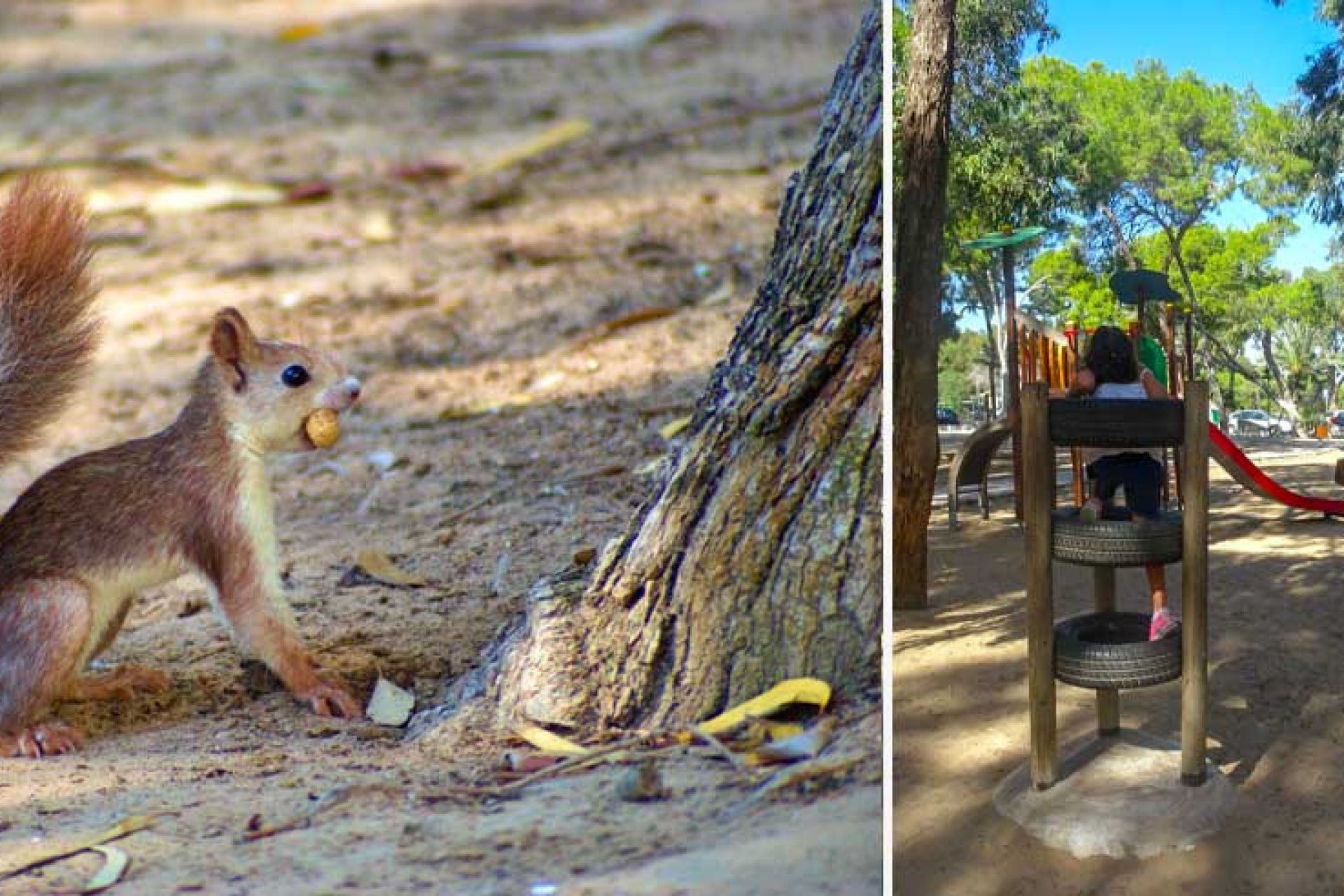 Resale - Villa - Guardamar del Segura - 