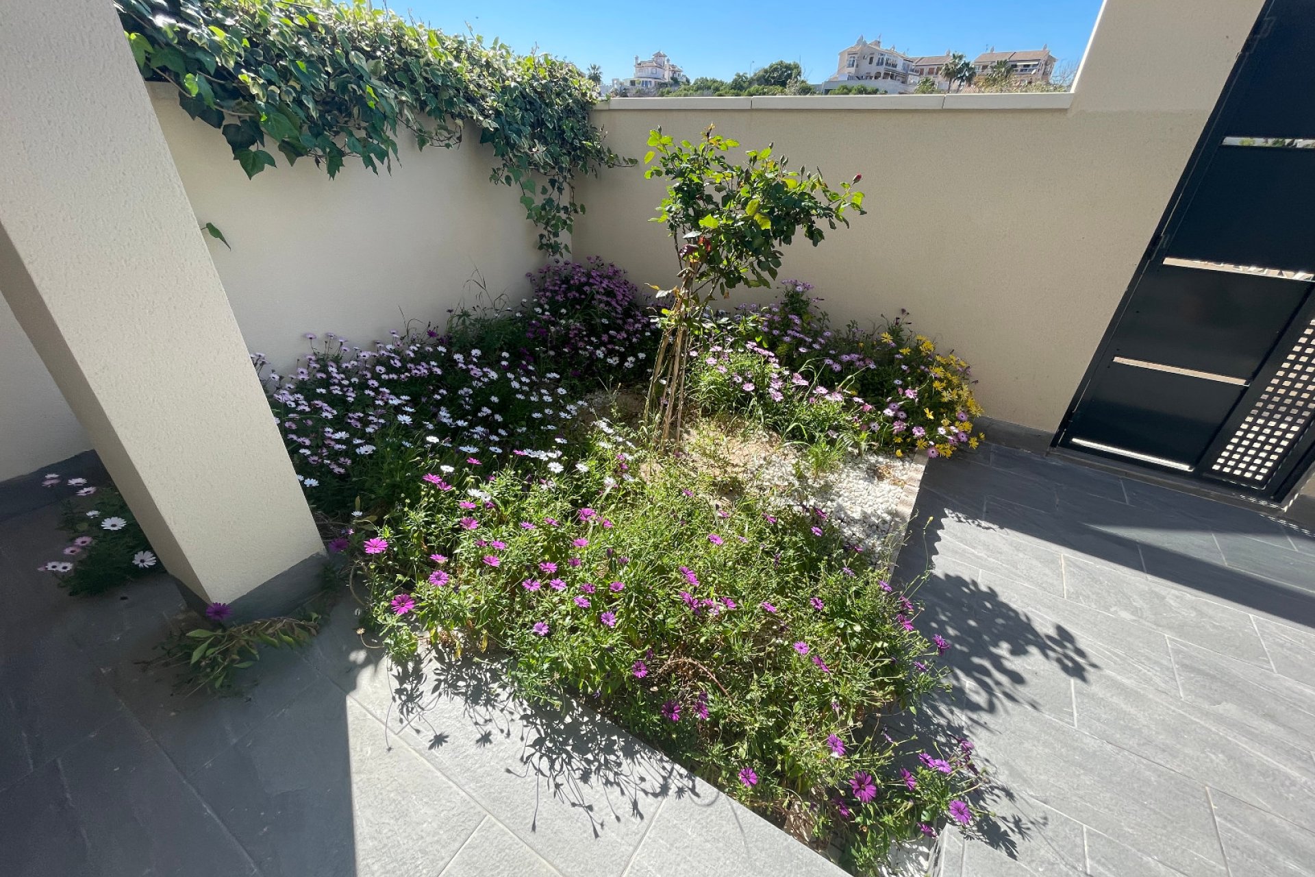 Resale - Villa - La Mata