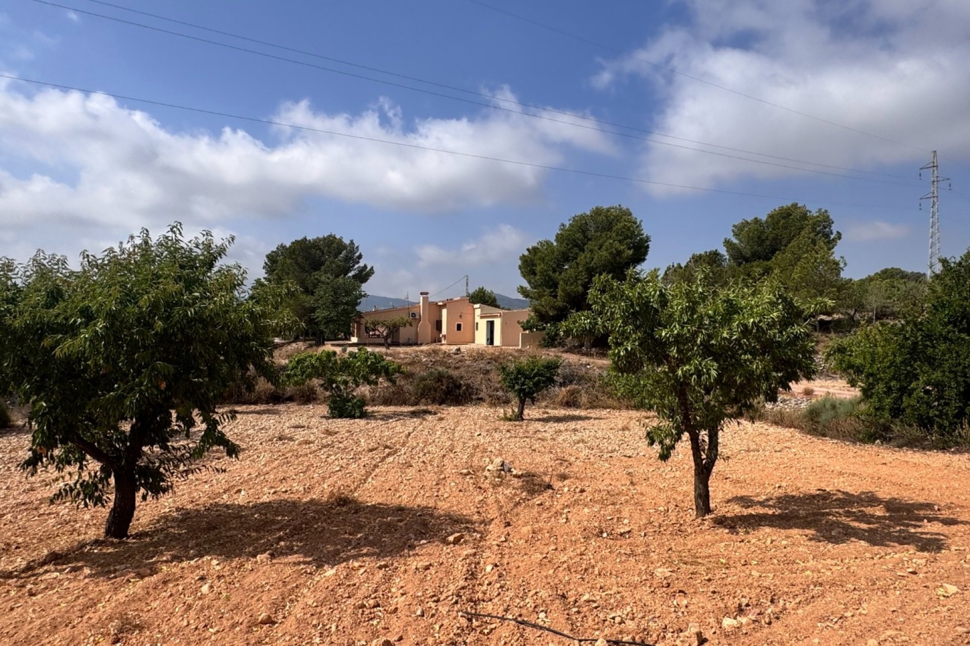 Resale - Villa - Monovar