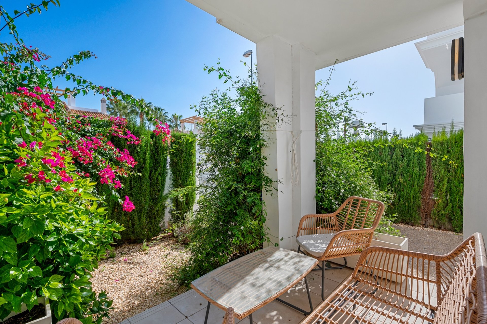 Segunda mano - Adosado - Ciudad Quesada - Doña pepa