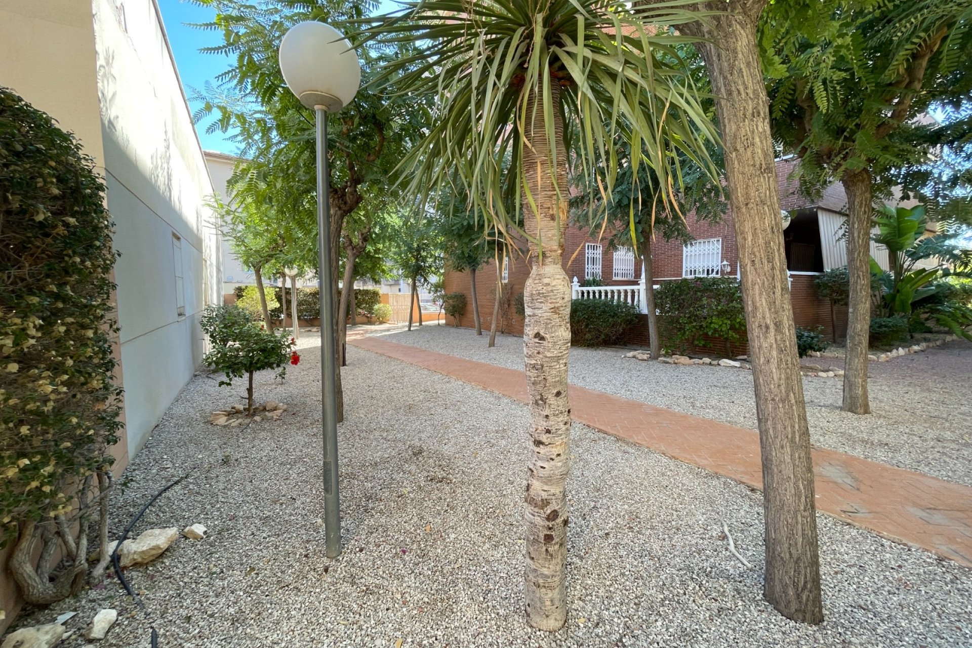 Segunda mano - Adosado - Elche - Center