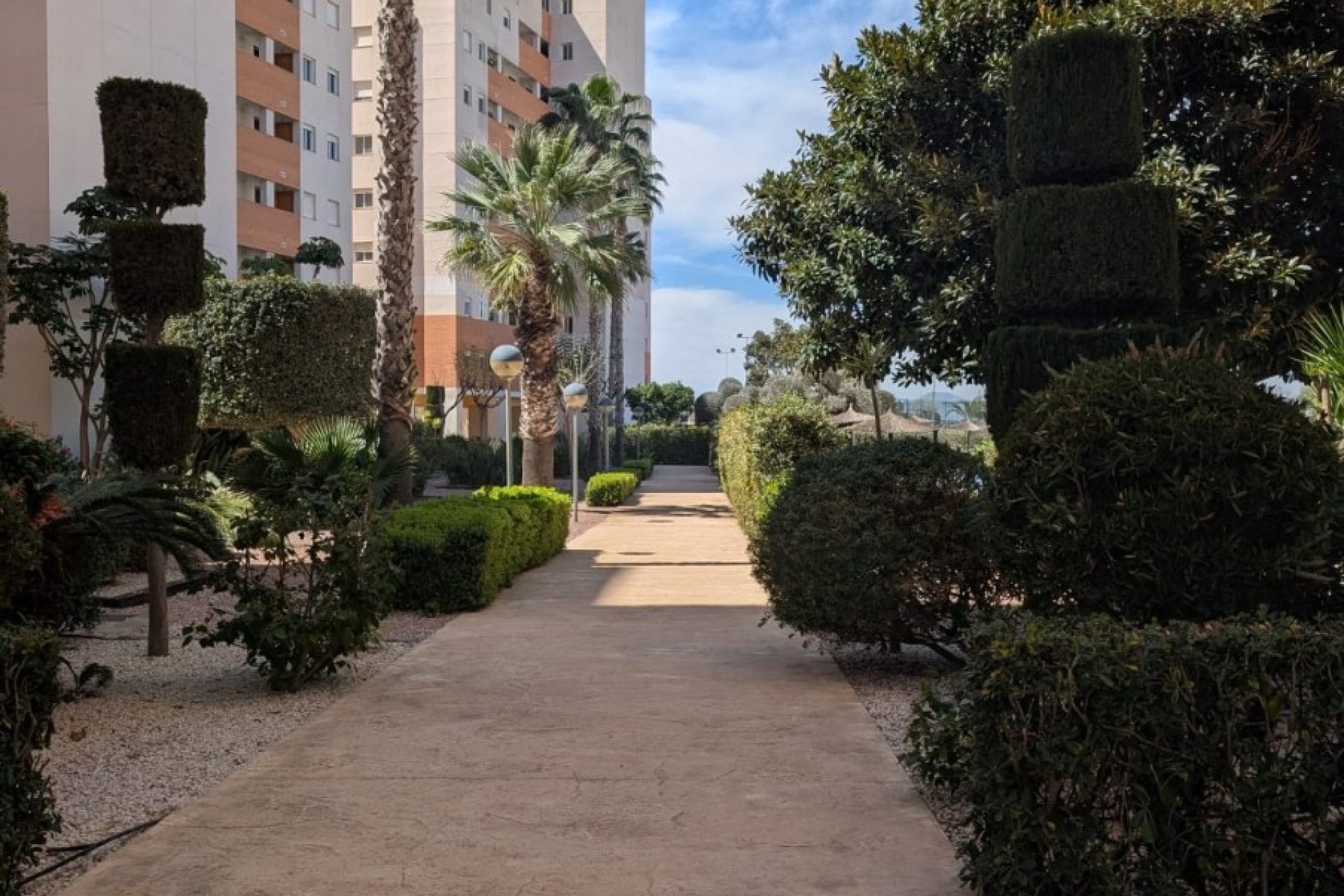 Segunda mano - Apartment - Flat - Guardamar del Segura - Avenida del Puerto