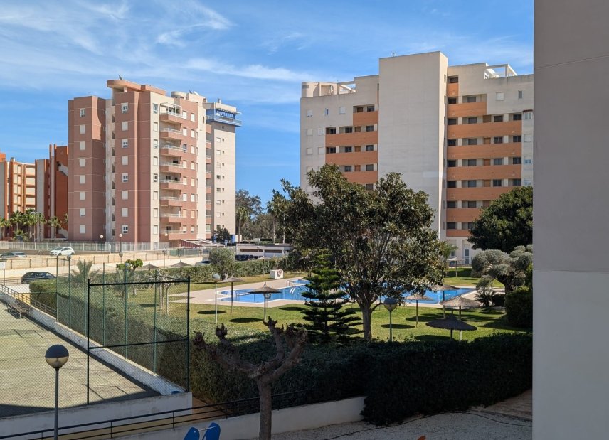 Segunda mano - Apartment - Flat - Guardamar del Segura - Avenida del Puerto