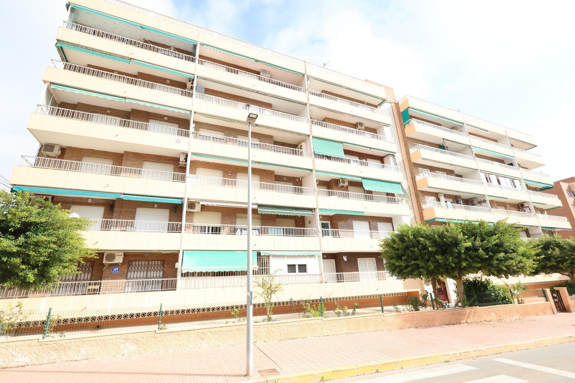 Segunda mano - Apartment - Flat - Torrevieia - Punta Prima