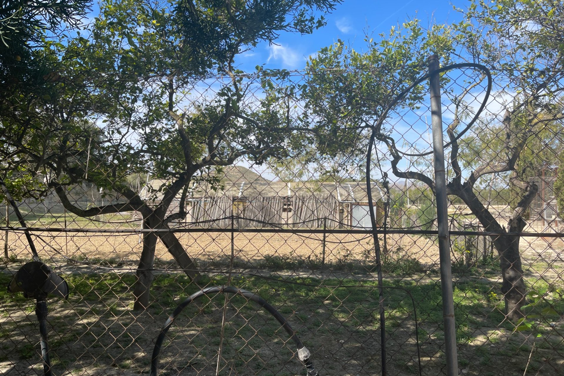 Segunda mano - Chalet - Guardamar del Segura - Valencian Community