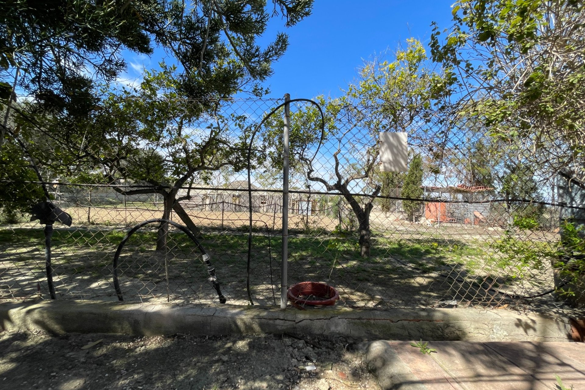 Segunda mano - Chalet - Guardamar del Segura - Valencian Community