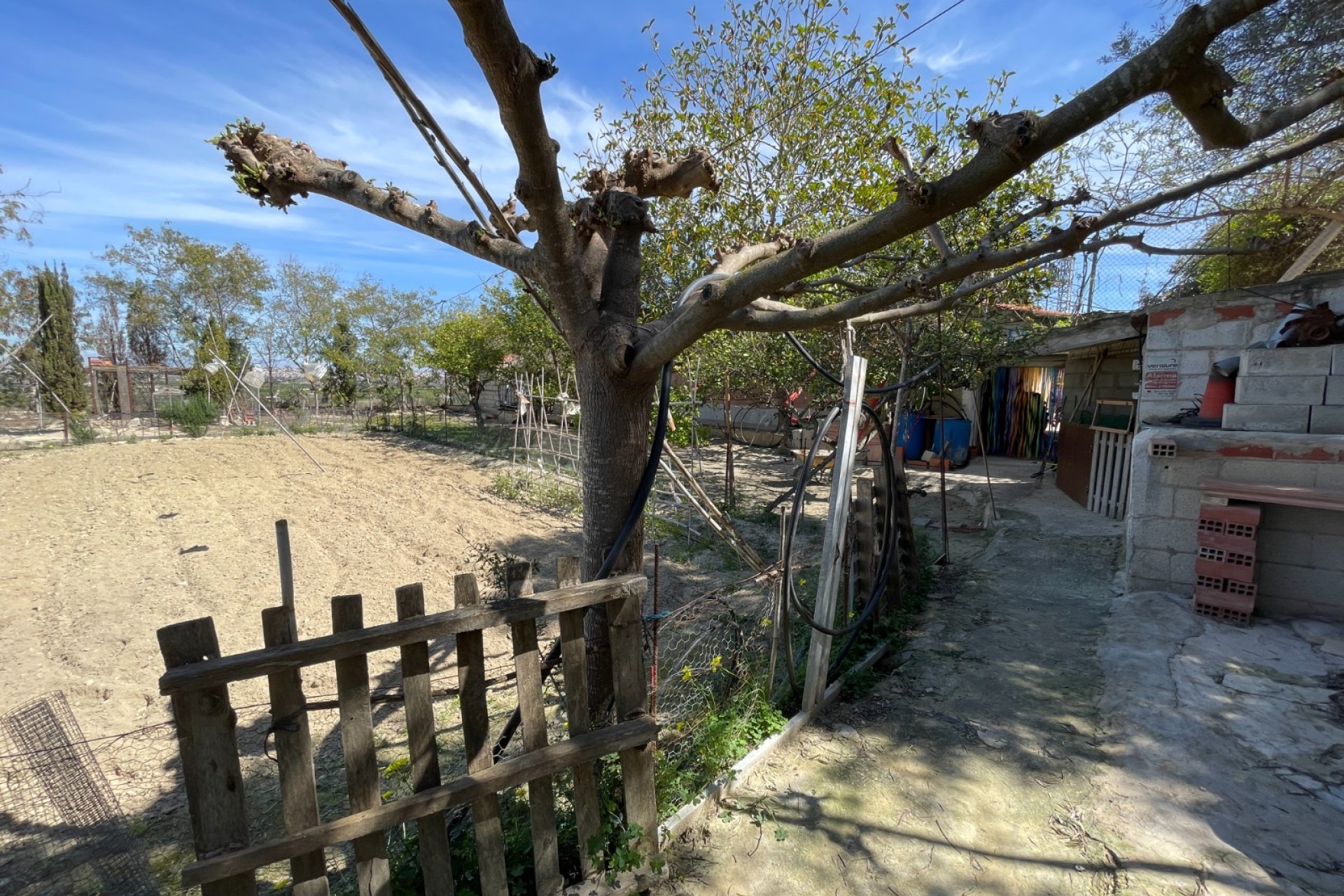 Segunda mano - Chalet - Guardamar del Segura - Valencian Community