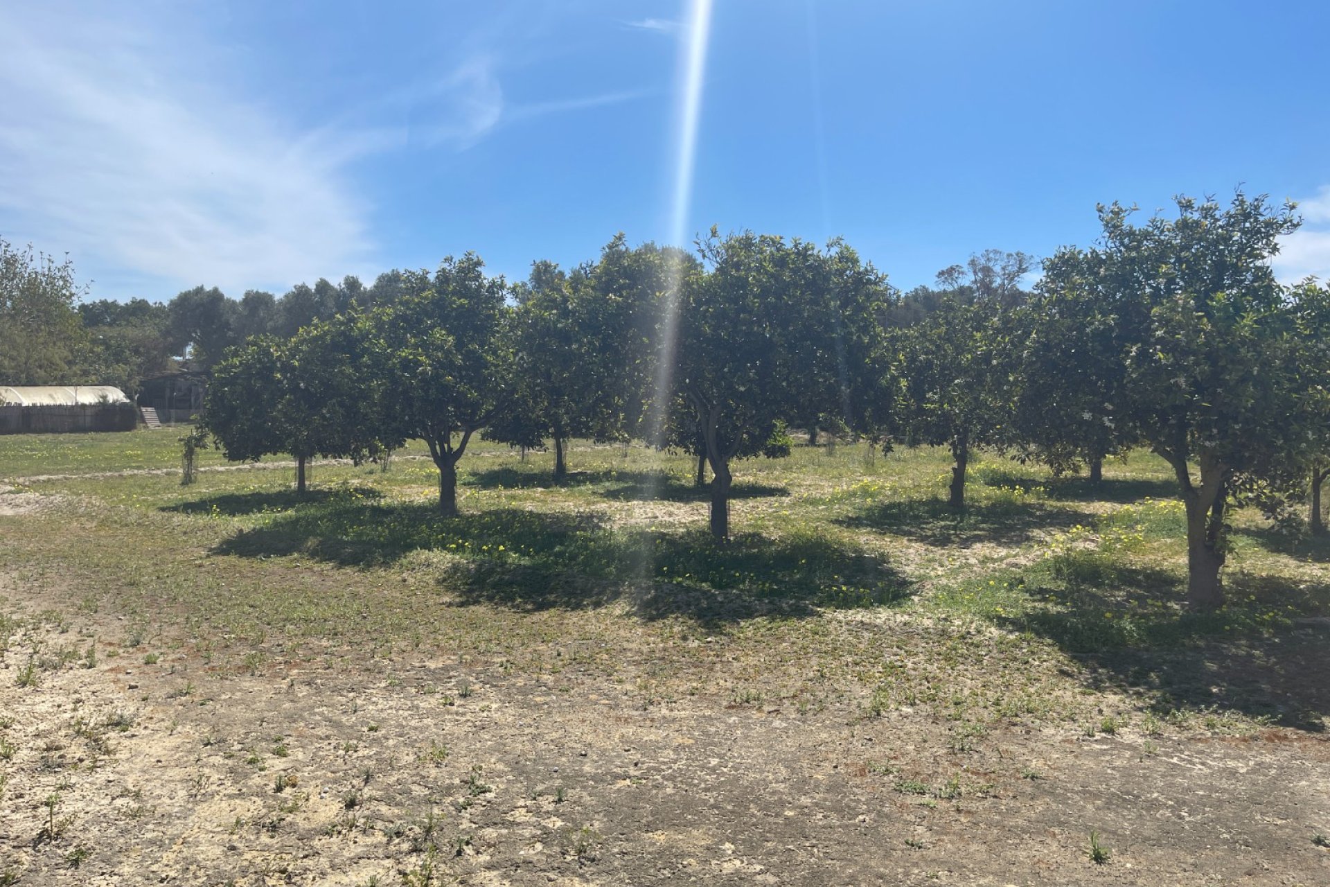 Segunda mano - Chalet - Guardamar del Segura - Valencian Community