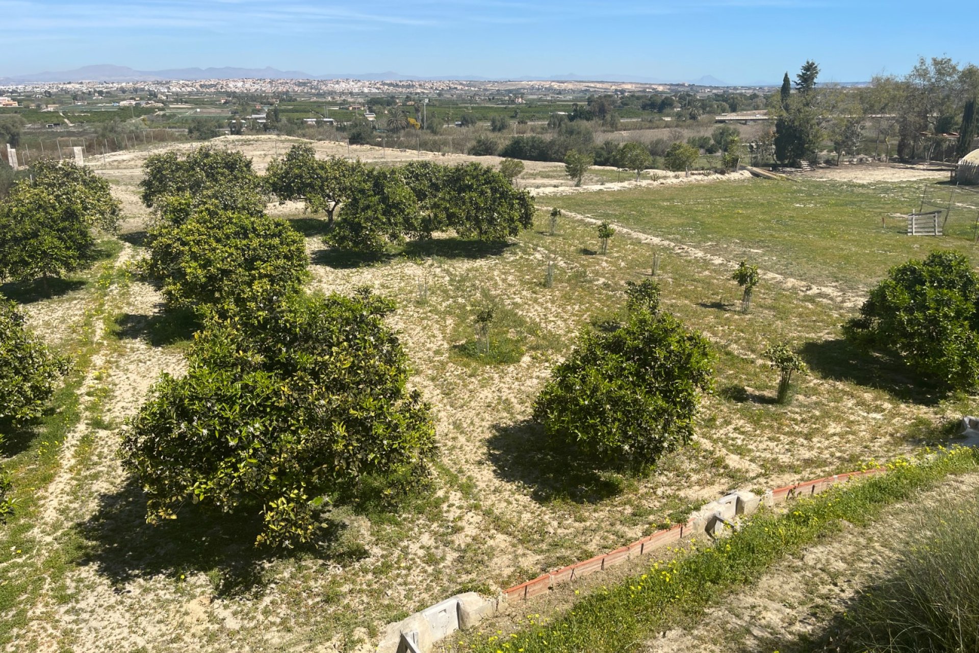 Segunda mano - Chalet - Guardamar del Segura - Valencian Community