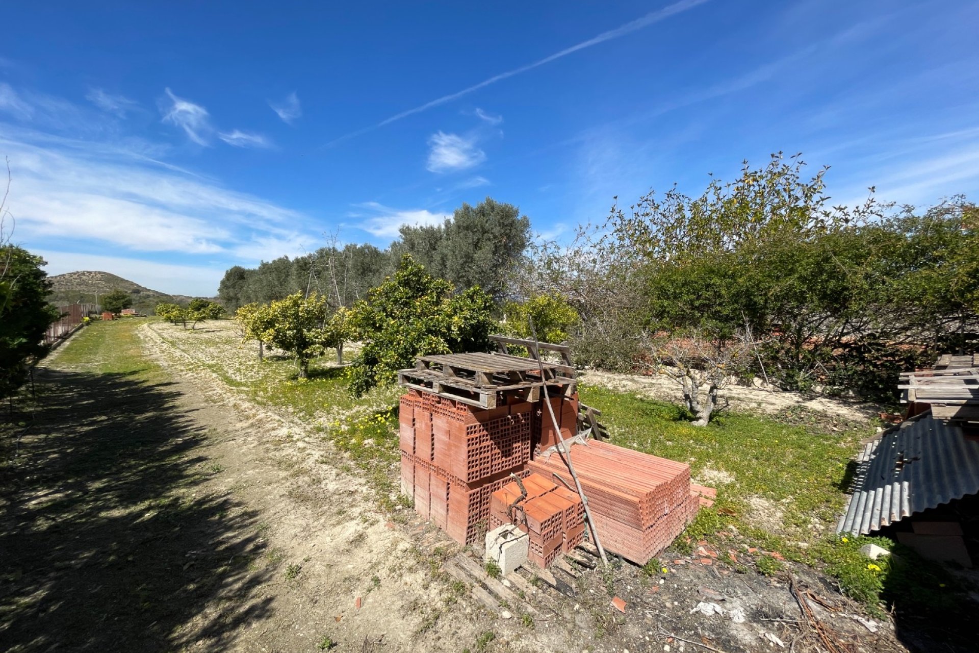 Segunda mano - Chalet - Guardamar del Segura - Valencian Community