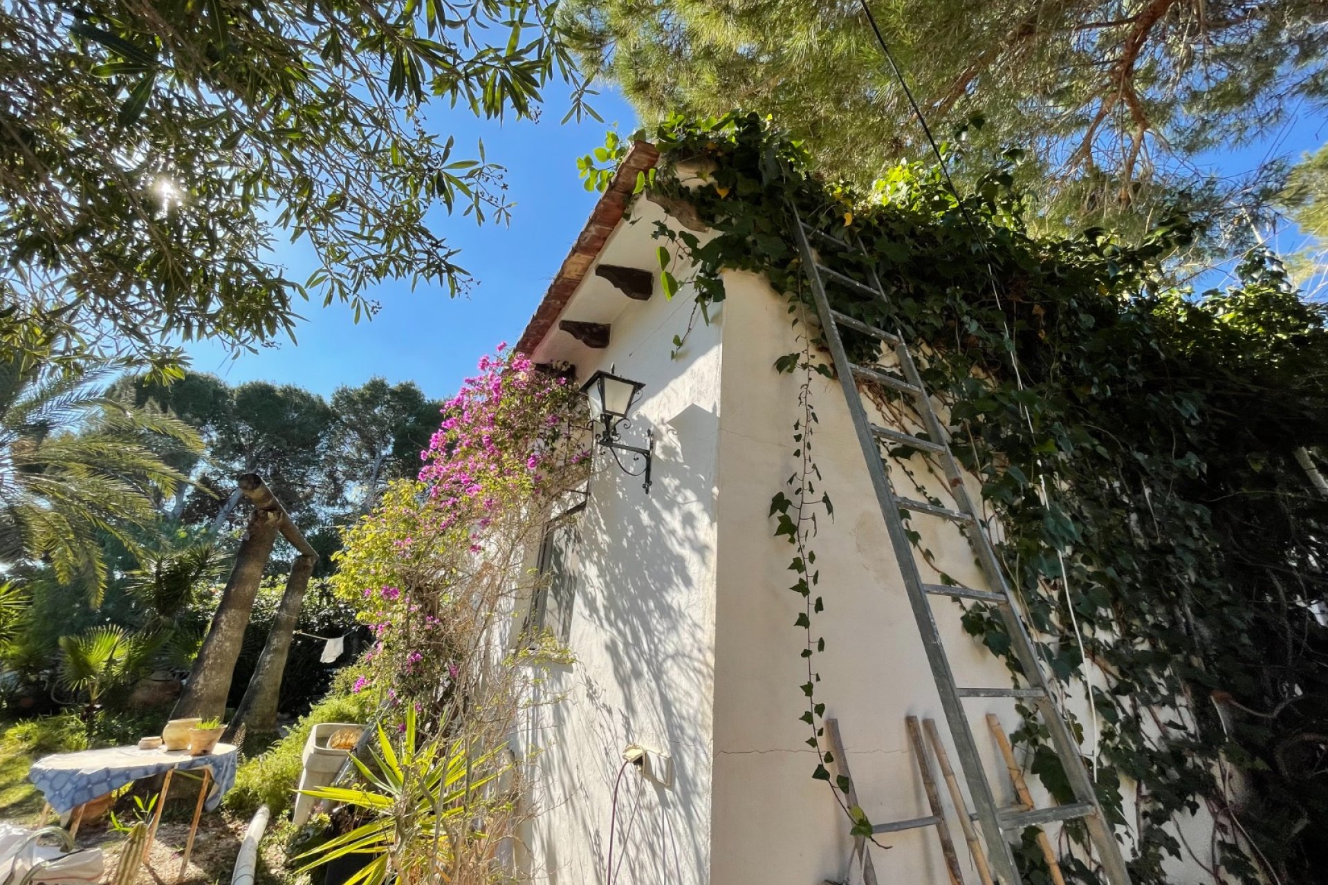 Segunda mano - Chalet - Orihuela Costa - Lomas De Cabo Roig