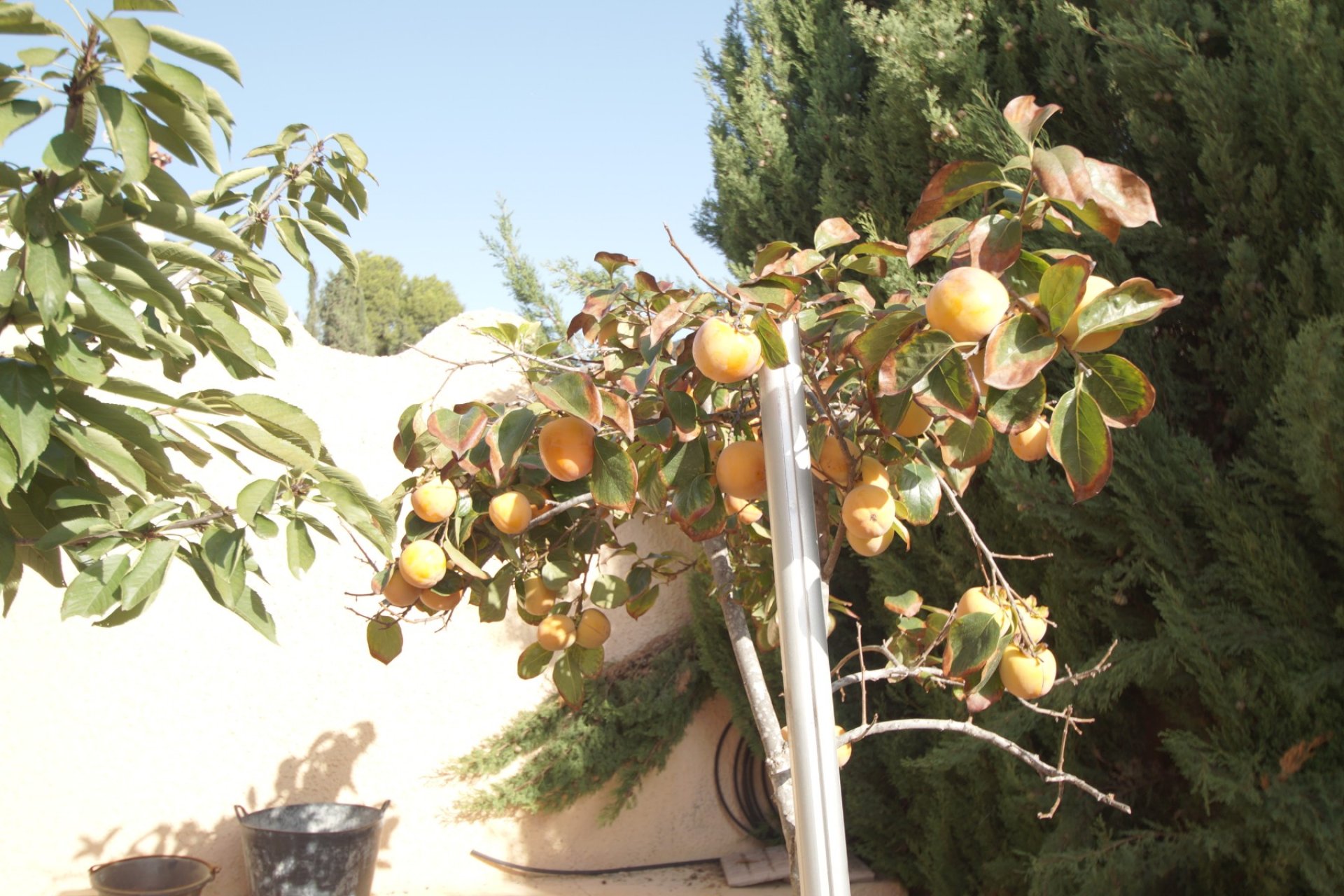 Segunda mano - Chalet - Rojales - Ciudad Quesada
