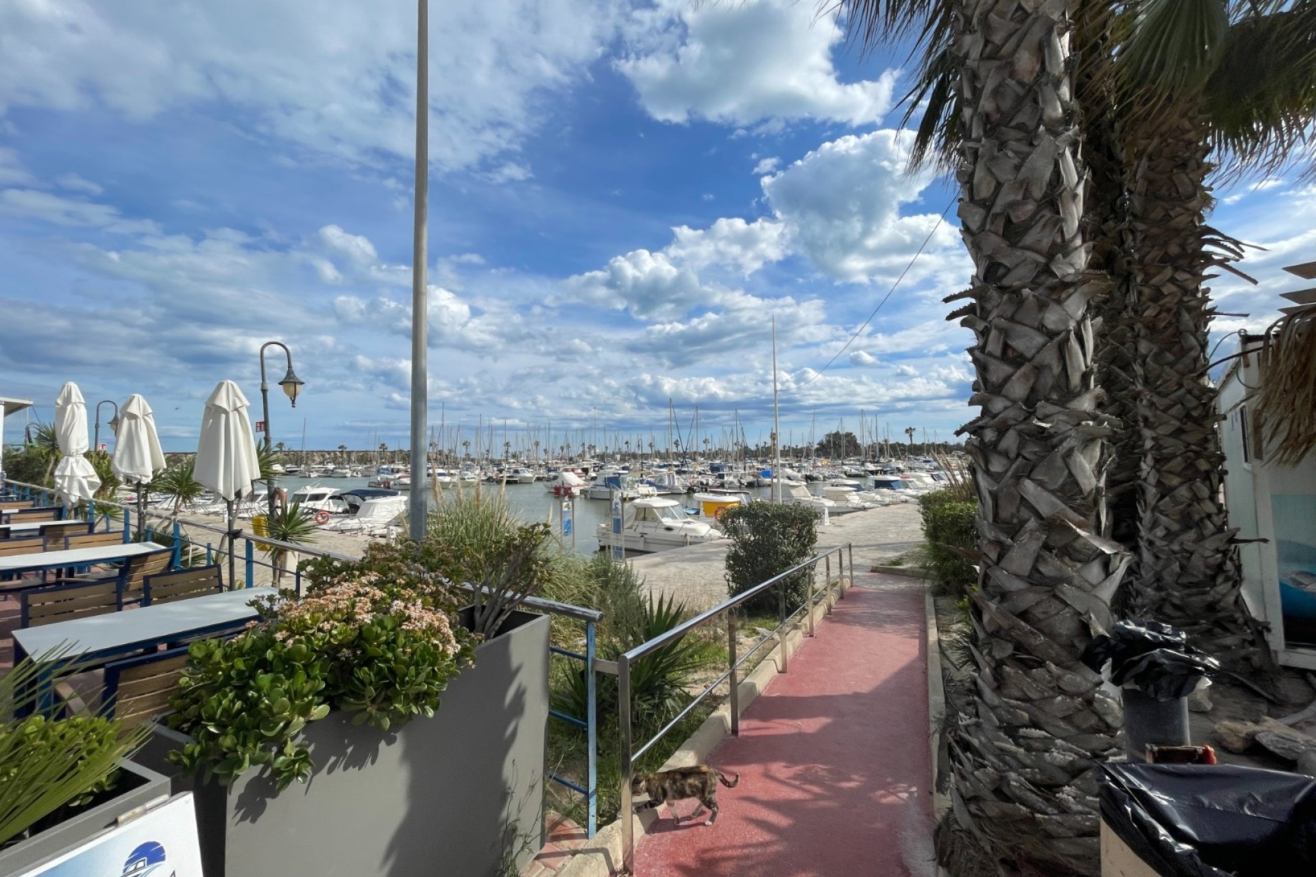 Verkauf - Apartment - Flat - Guardamar del Segura - Puerto Deportivo