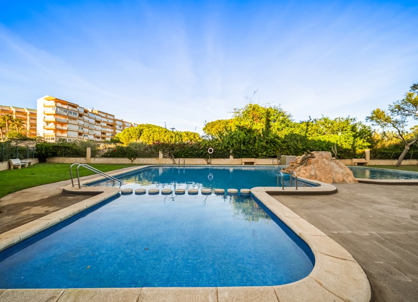 Verkauf - Apartment - Flat - Torrevieia - La Mata