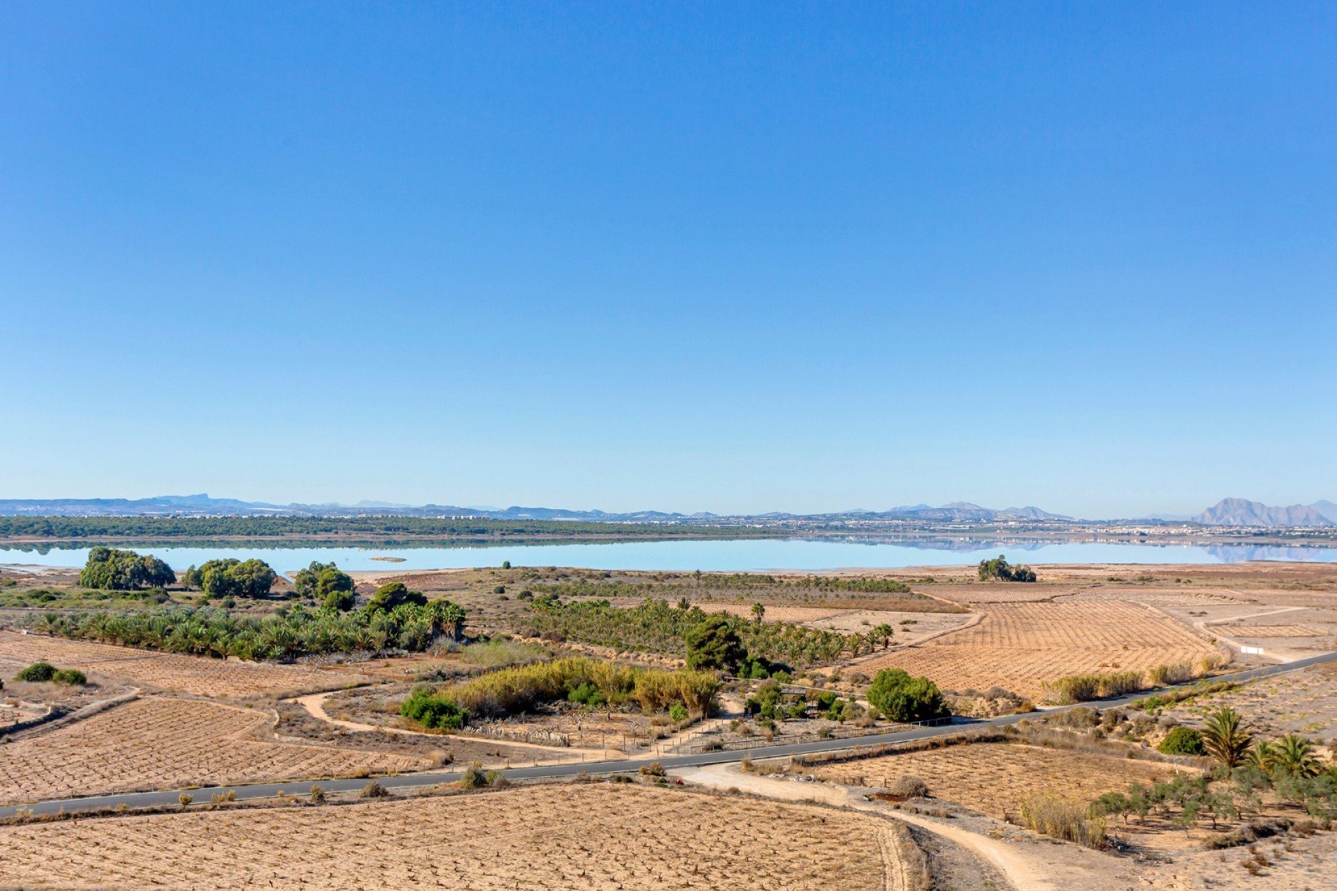 Verkauf - Apartment - Flat - Torrevieia - La Mata