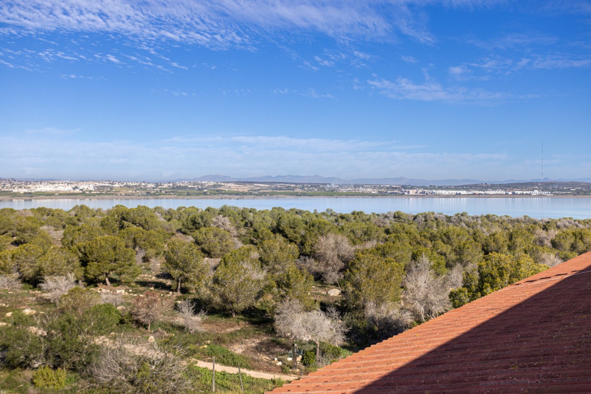 Verkauf - Apartment - Flat - Torrevieia - La Siesta