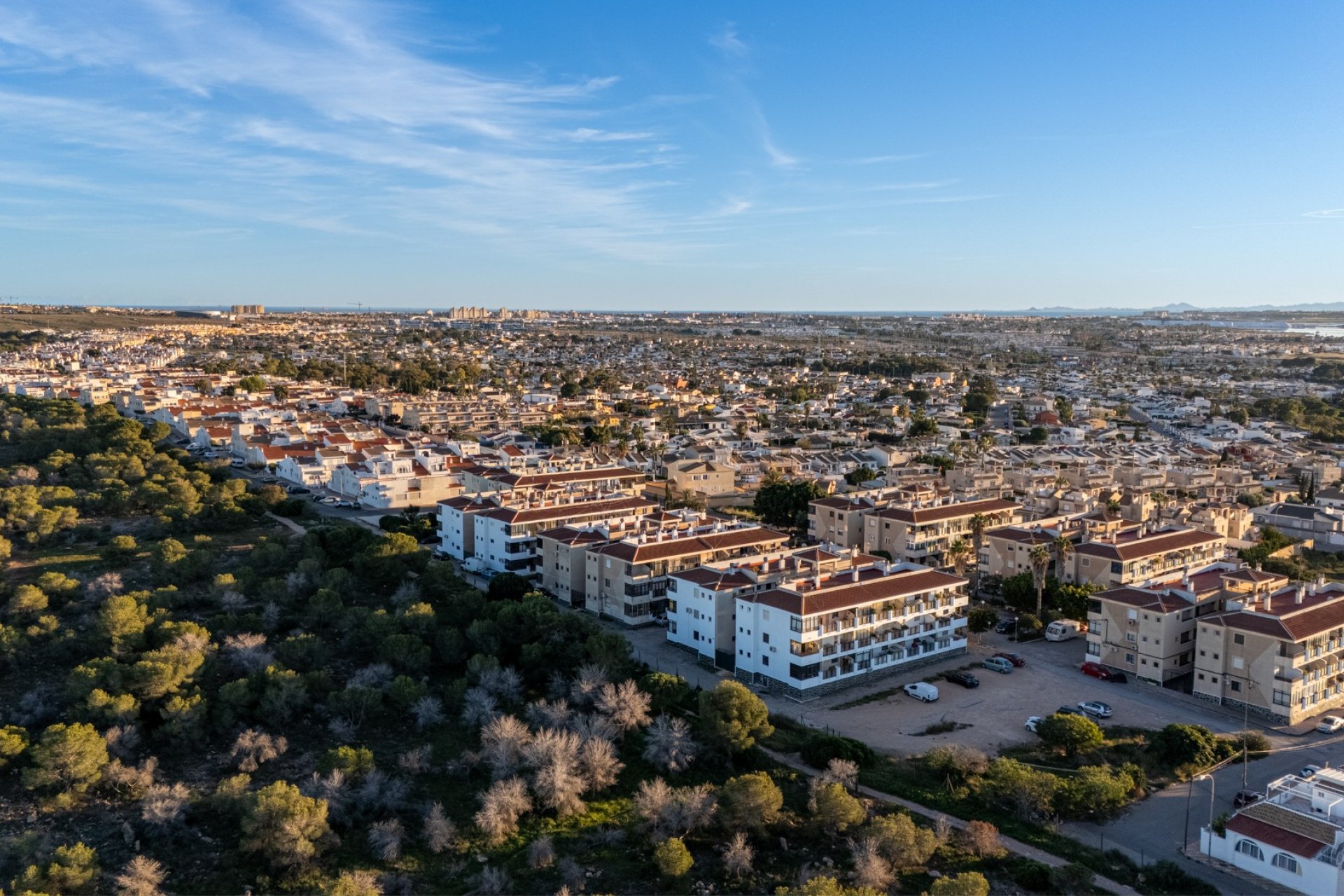 Verkauf - Apartment - Flat - Torrevieia - La Siesta