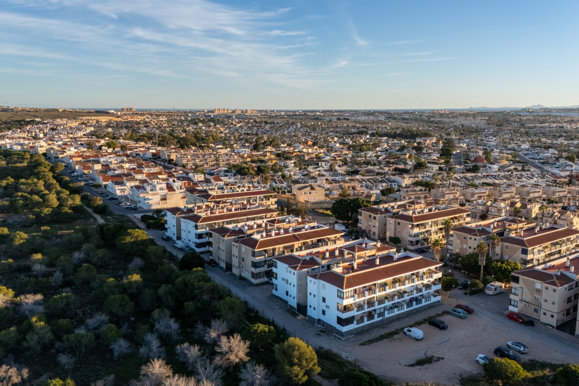 Verkauf - Apartment - Flat - Torrevieia - La Siesta