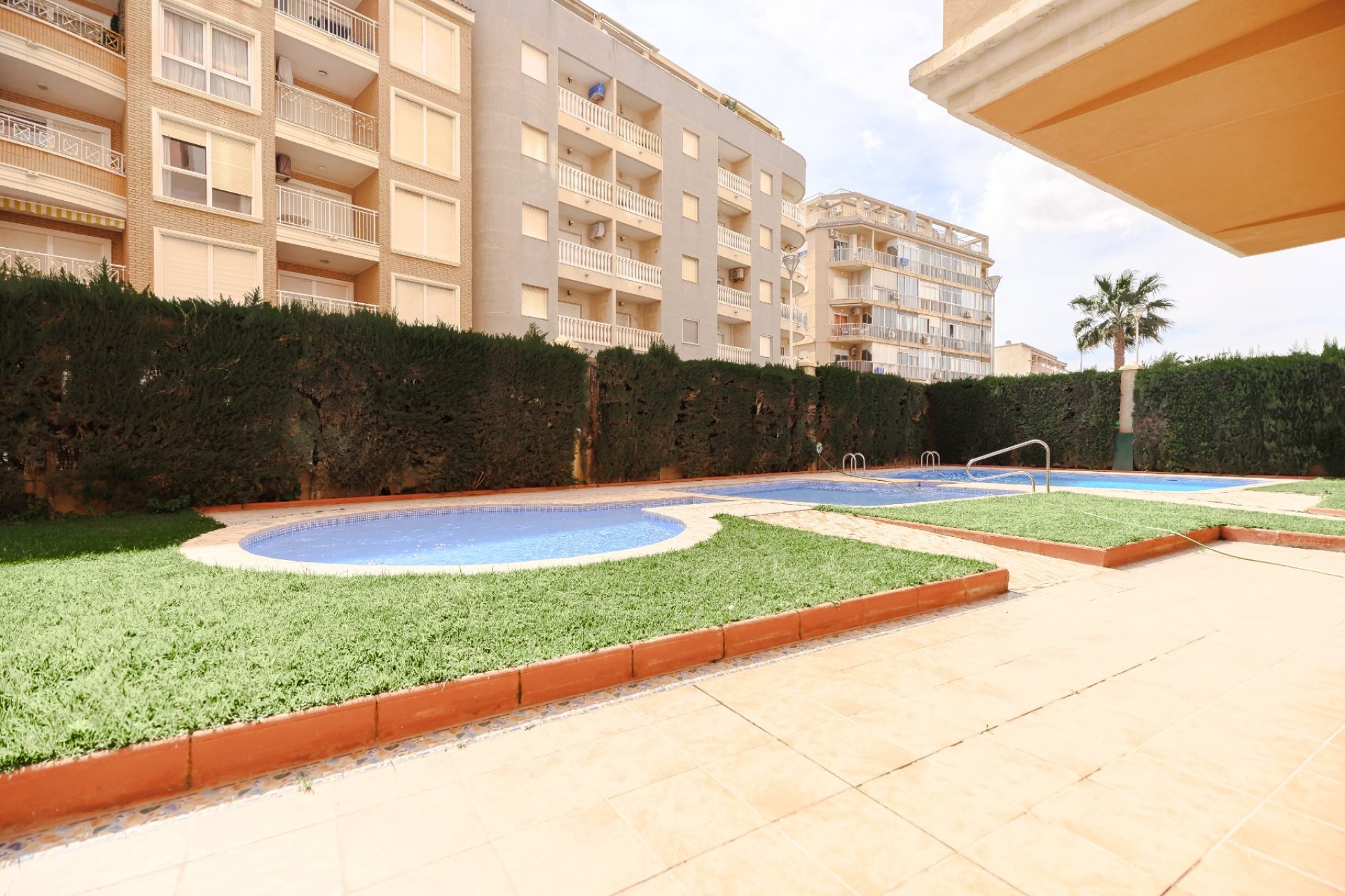 Verkauf - Apartment - Flat - Torrevieia - 
