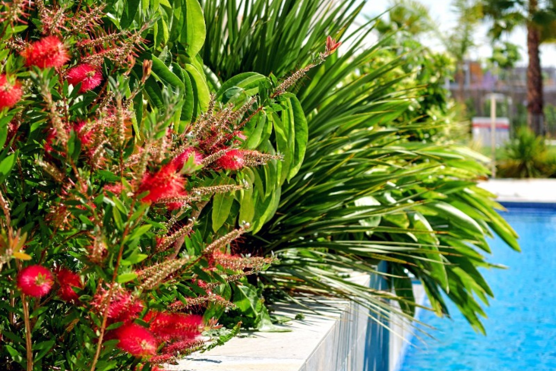 Verkauf - Bungalow - Torrevieia - Los Naufragos