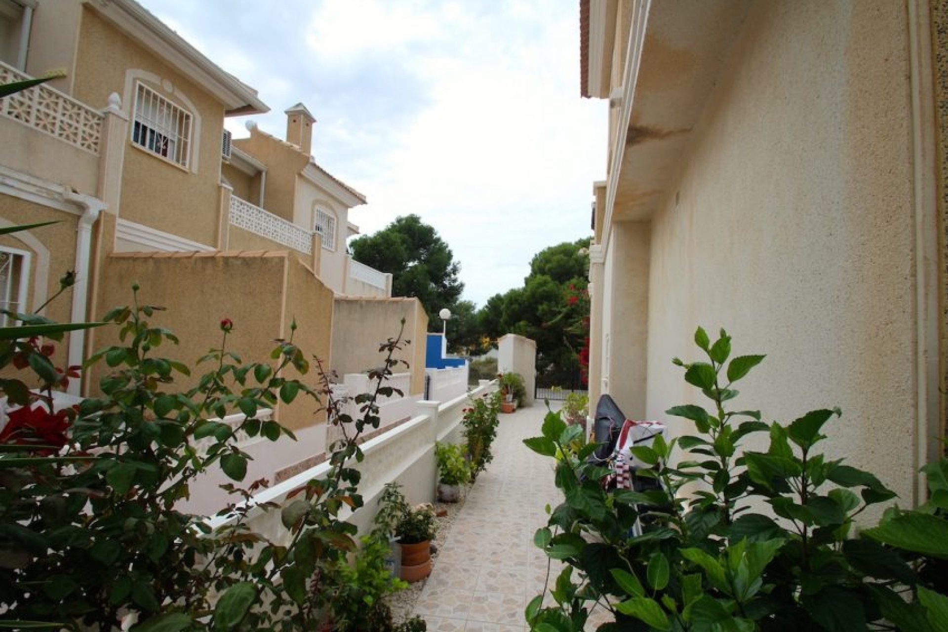 Verkauf -  - Ciudad Quesada - Doña pepa