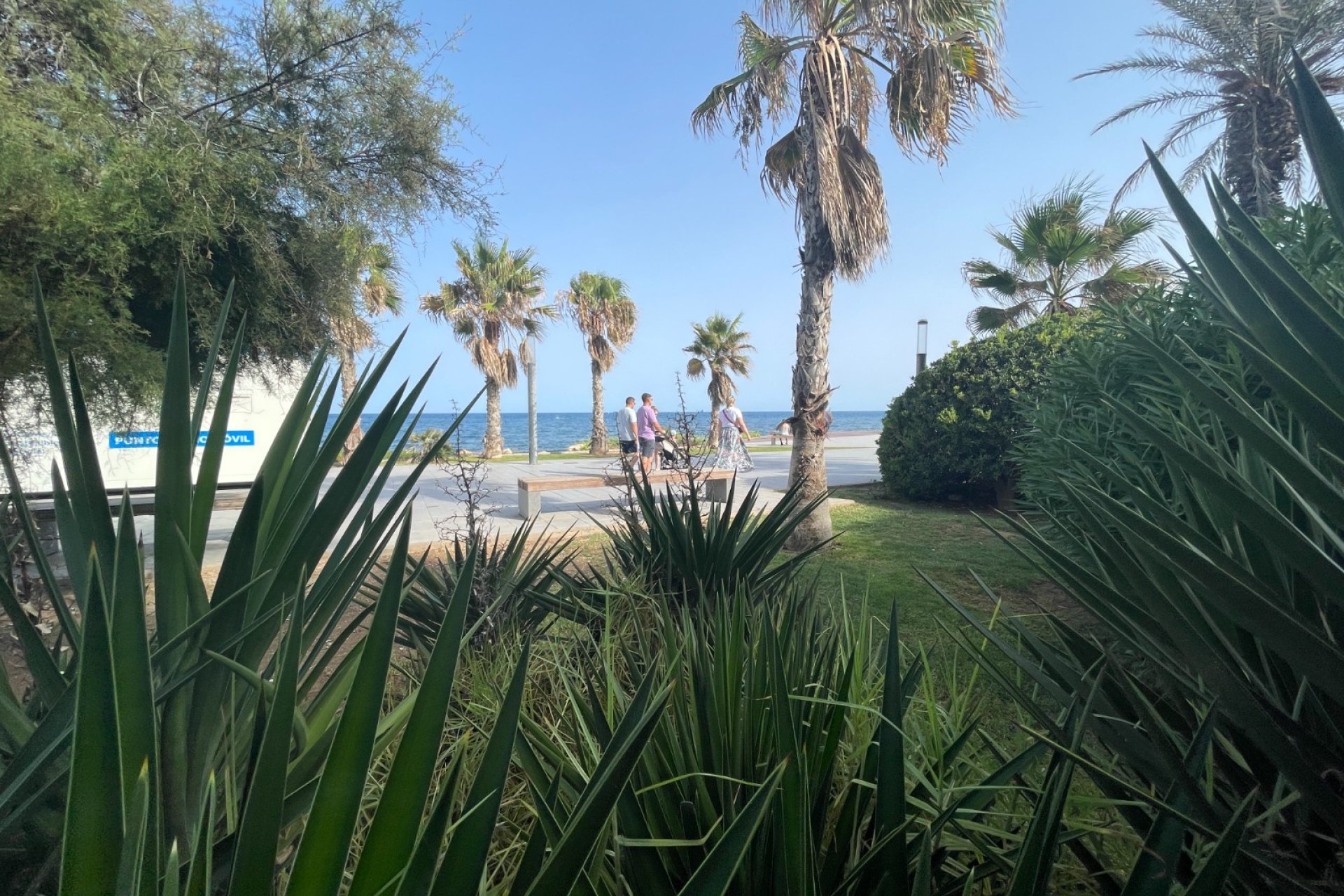 Verkauf - Commercial - Torrevieia - Comunidad Valenciana