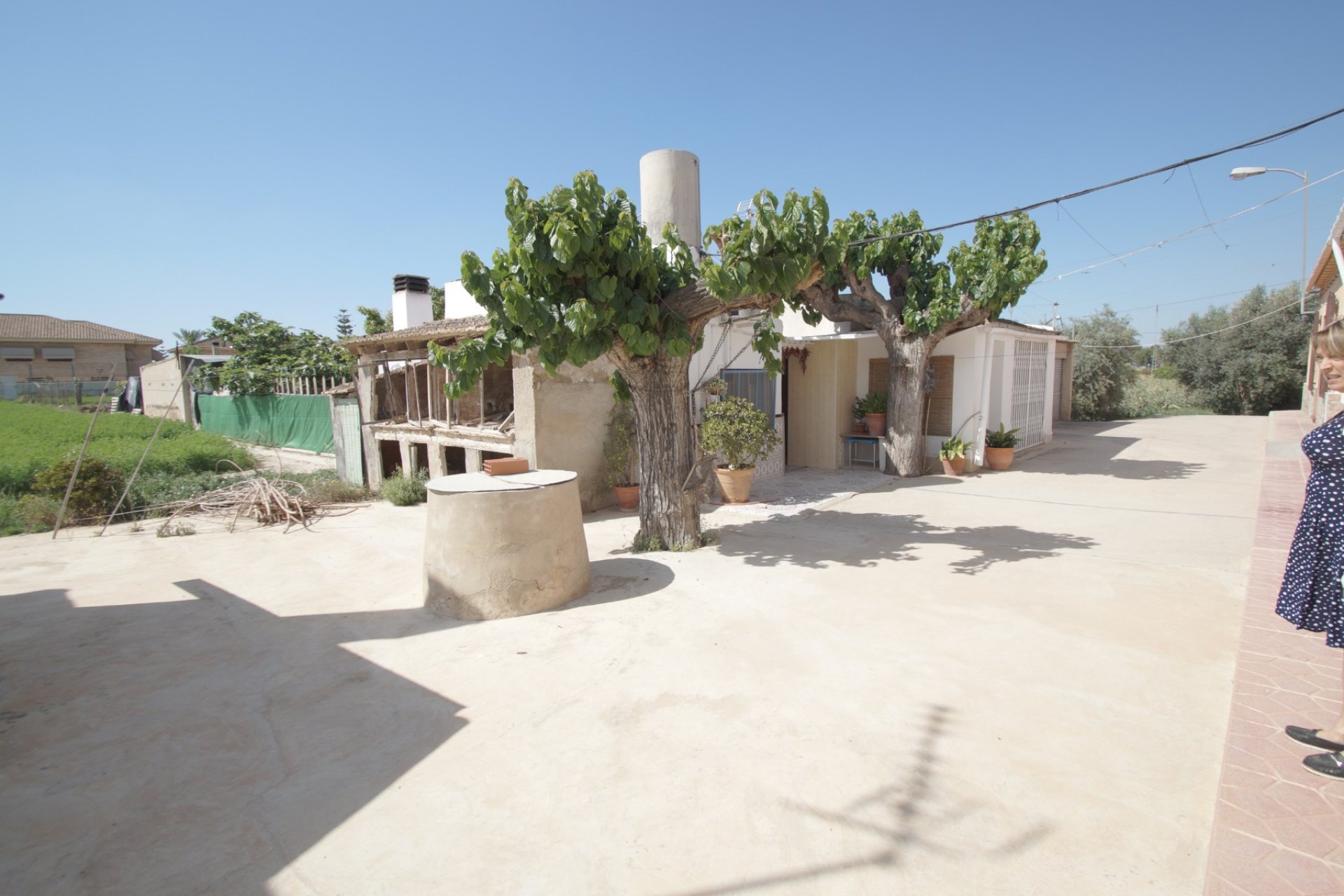 Verkauf - Finca - Almoradí - Almoradi