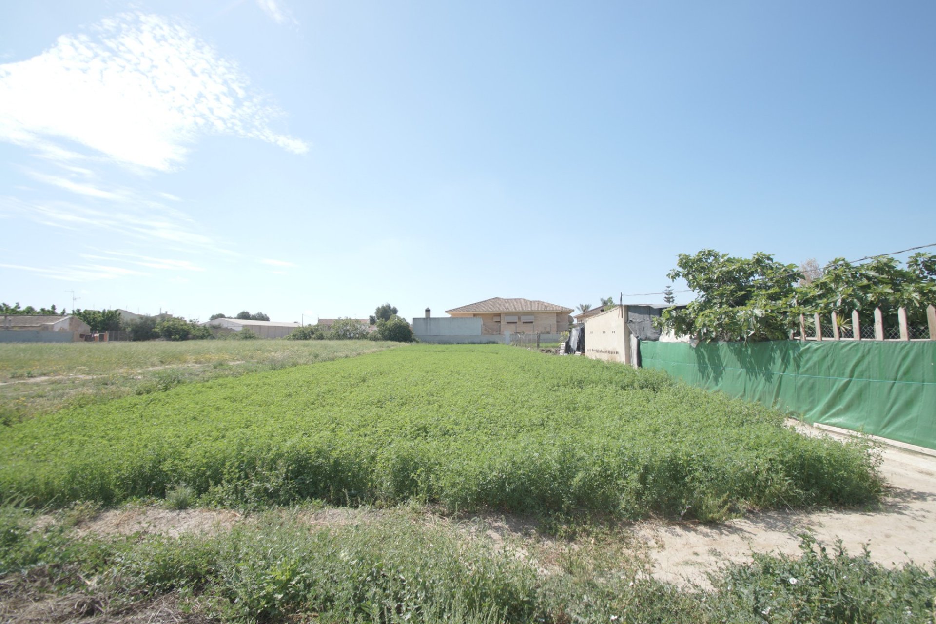 Verkauf - Finca - Almoradí - Almoradi