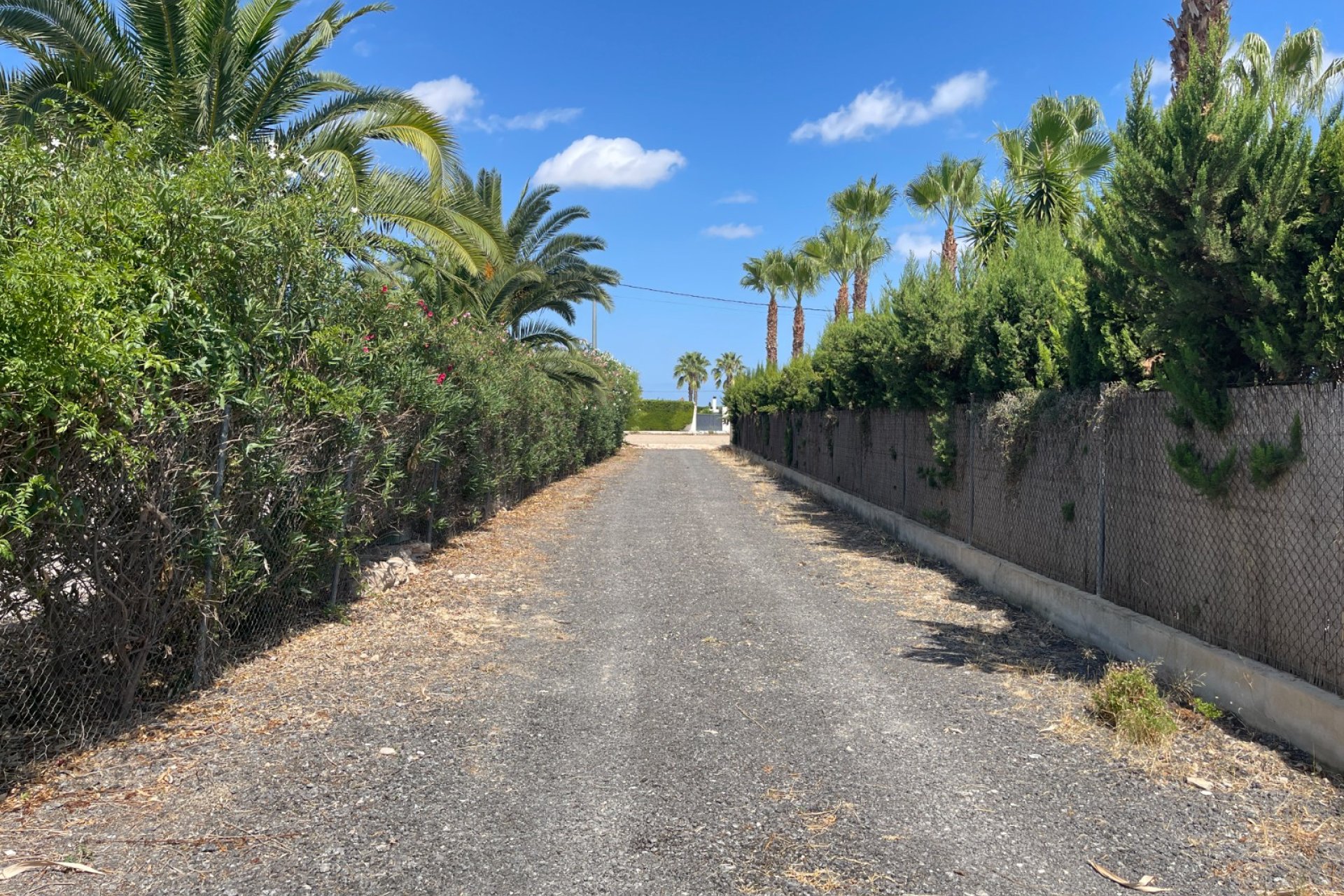 Verkauf - Finca / Country Property - Benejuzar - Comunidad Valenciana