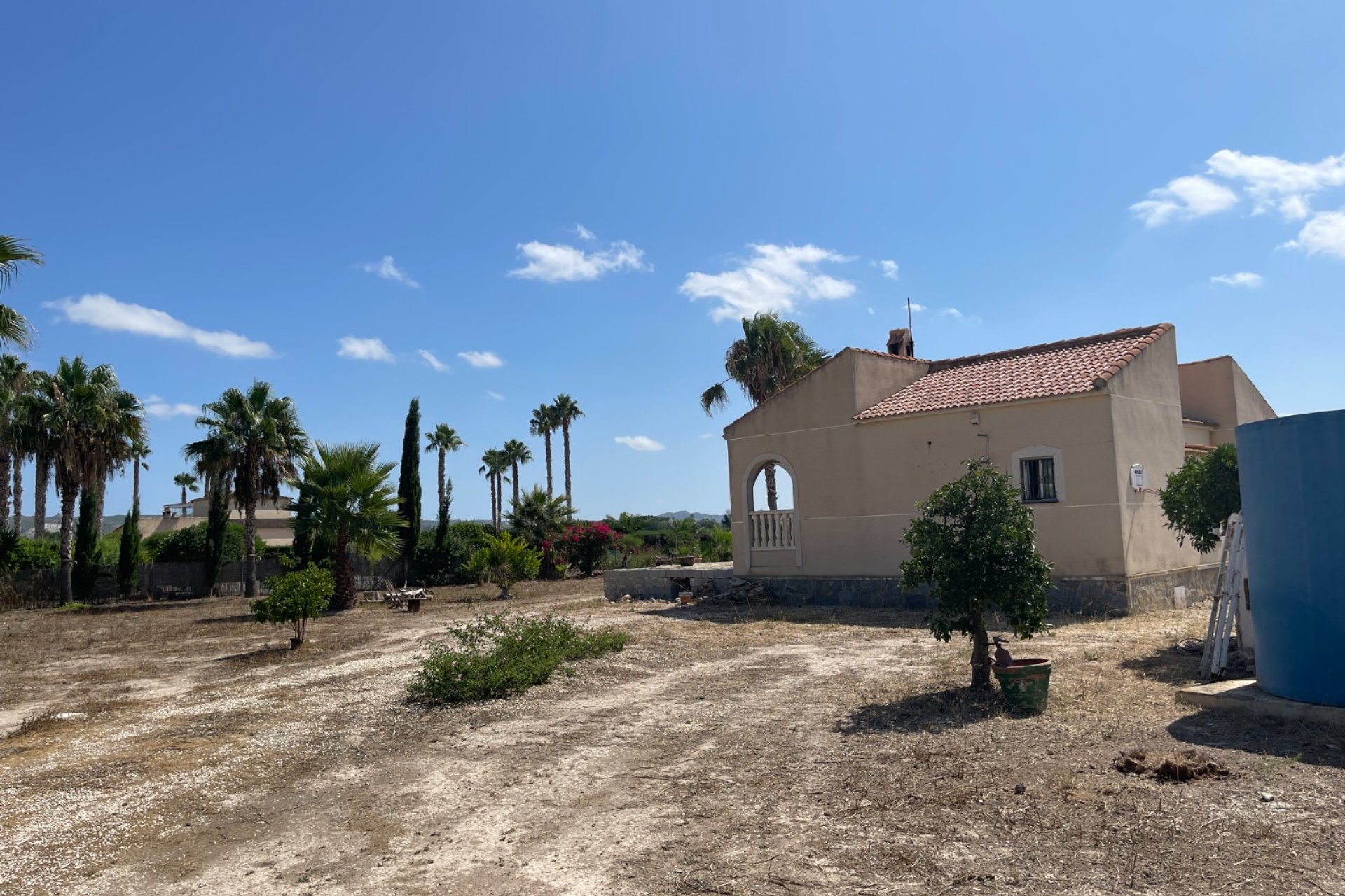 Verkauf - Finca / Country Property - Benejuzar - Comunidad Valenciana